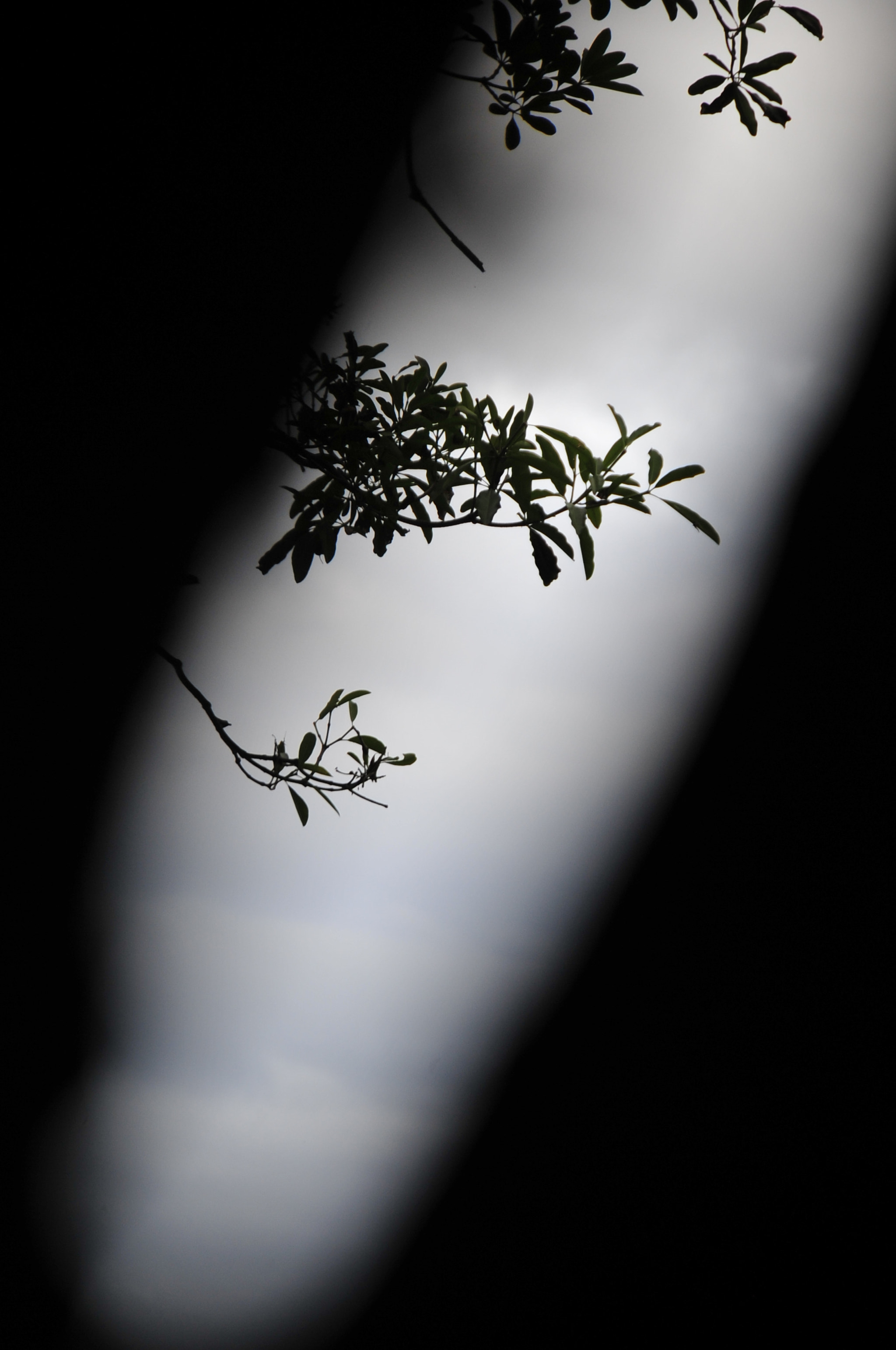 Nikon D3 sample photo. .. photography