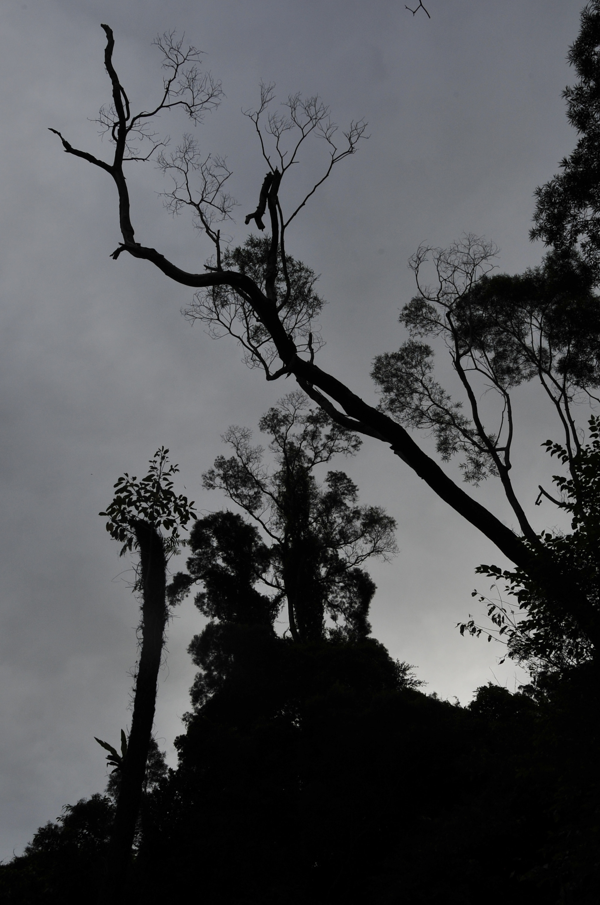 Nikon D3 sample photo. .. photography