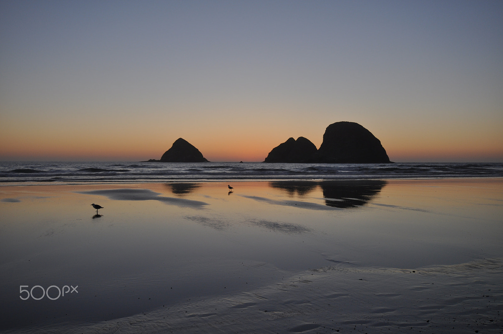 Nikon D5000 sample photo. Coastal sunset photography