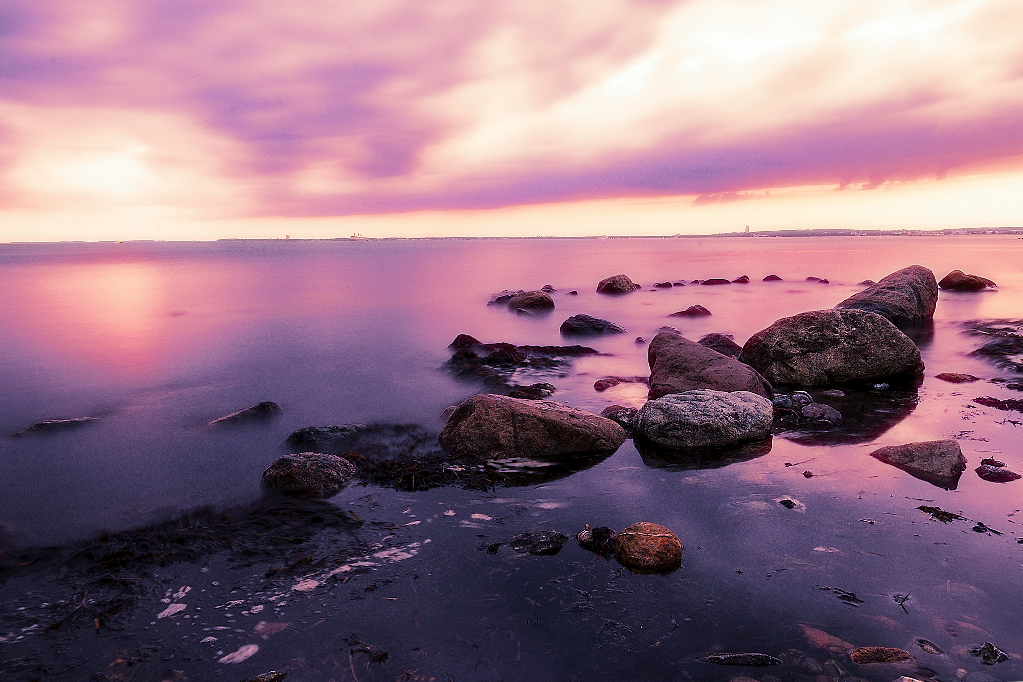 Canon EOS 70D + Canon EF 300mm f/2.8L sample photo. Violette baltic photography