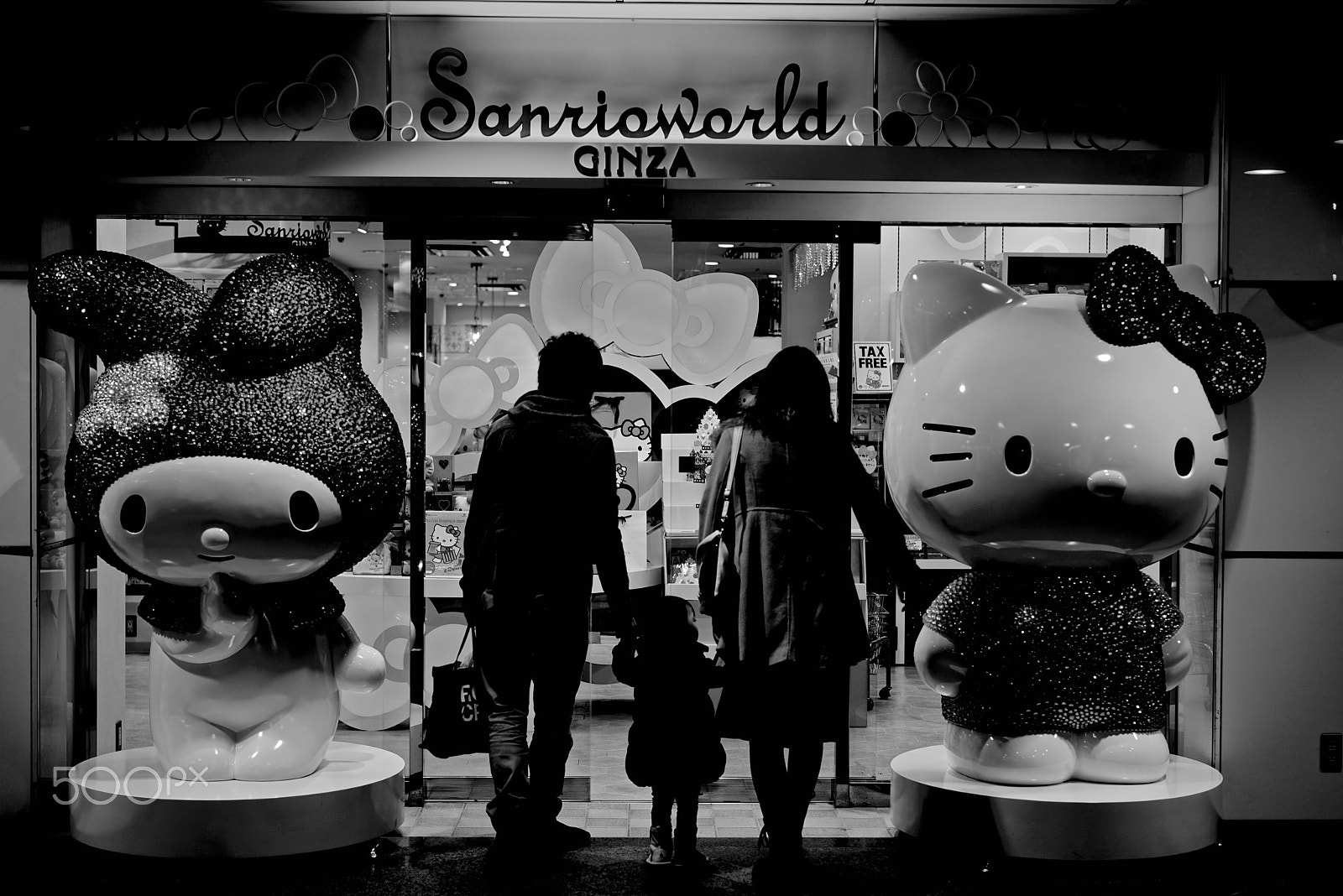 Sony a7R + Sony Sonnar T* FE 55mm F1.8 ZA sample photo. Black kitty photography