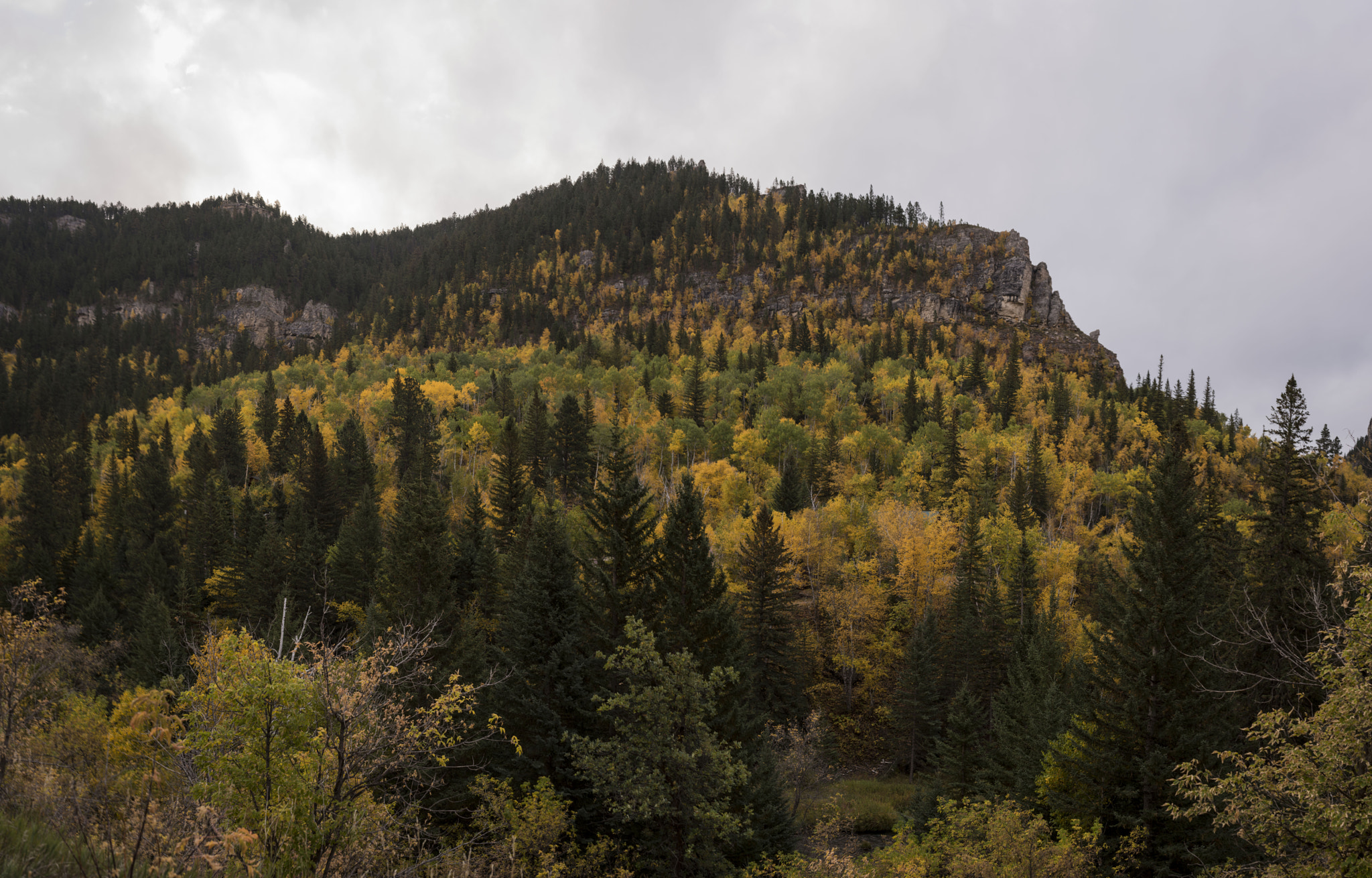 Nikon D750 + Sigma 50mm F1.4 EX DG HSM sample photo. Superpano photography