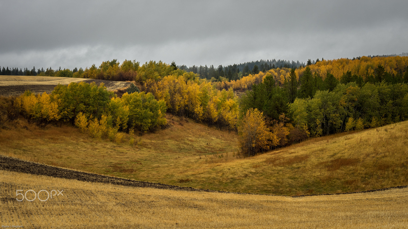 Olympus OM-D E-M1 sample photo. Swale photography