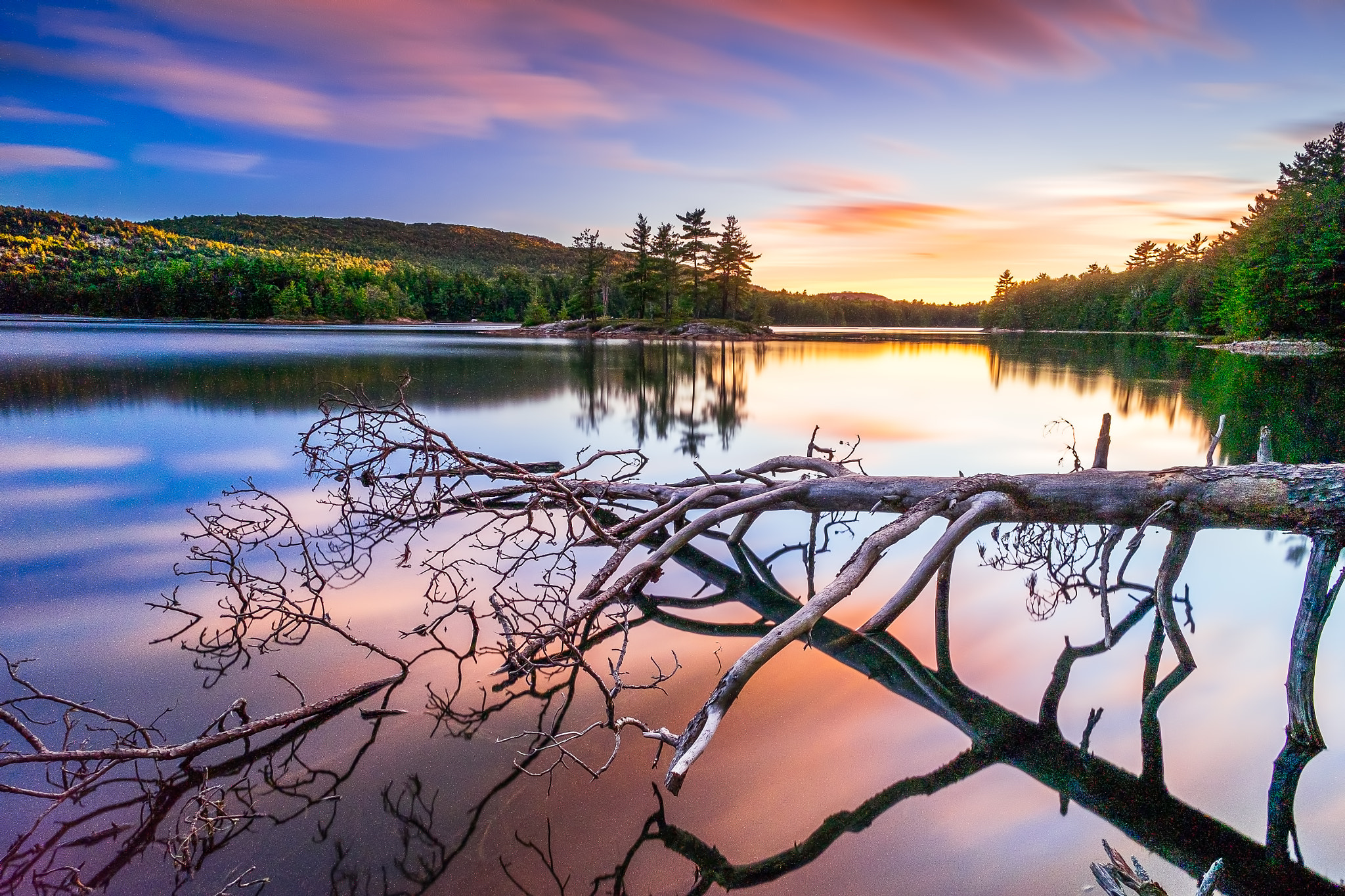 Fujifilm X-T1 + ZEISS Touit 12mm F2.8 sample photo. Fallen tree over sunset photography