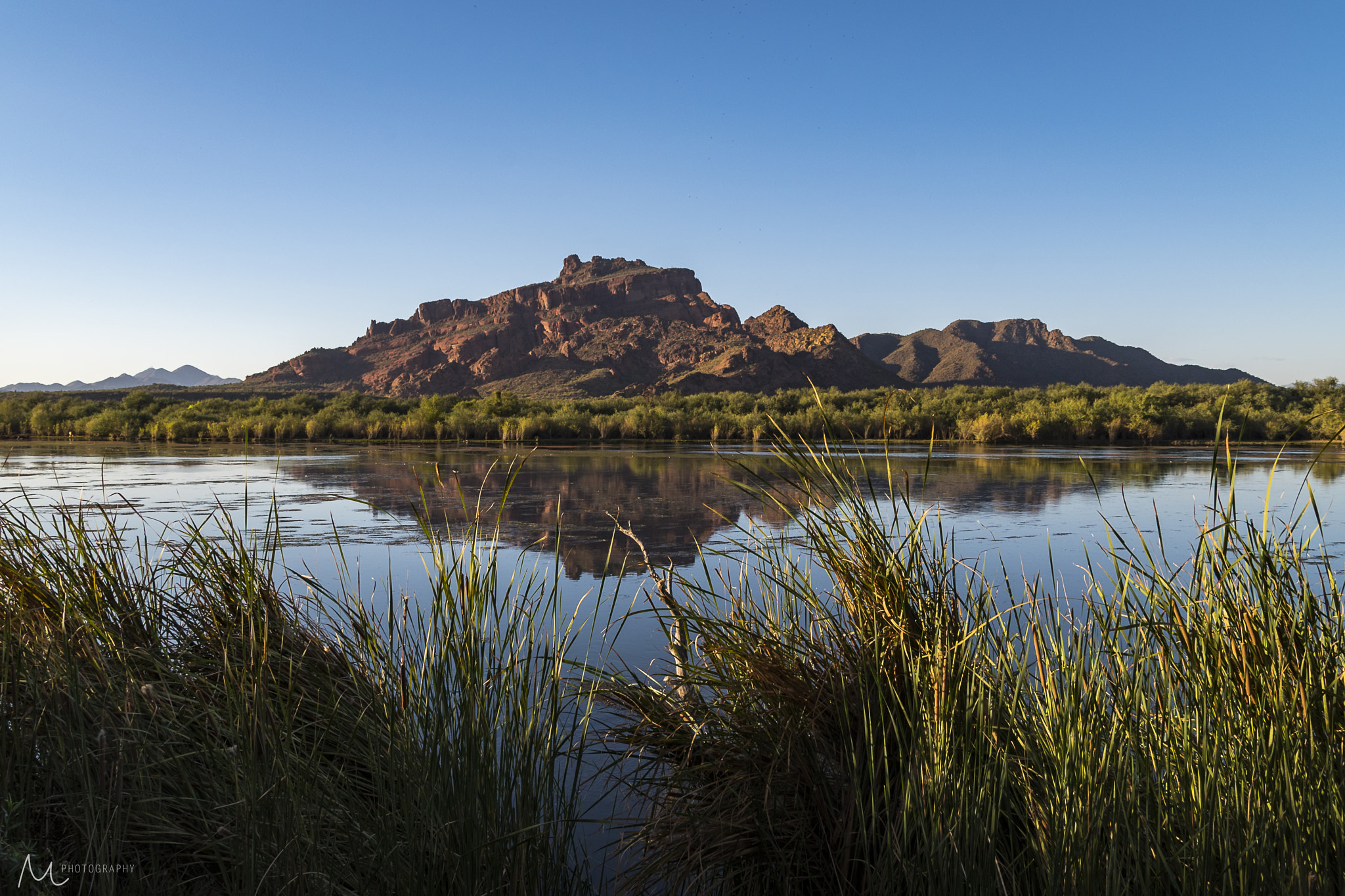 Sigma 28-300mm F3.5-6.3 DG Macro sample photo. Salt river reeds photography