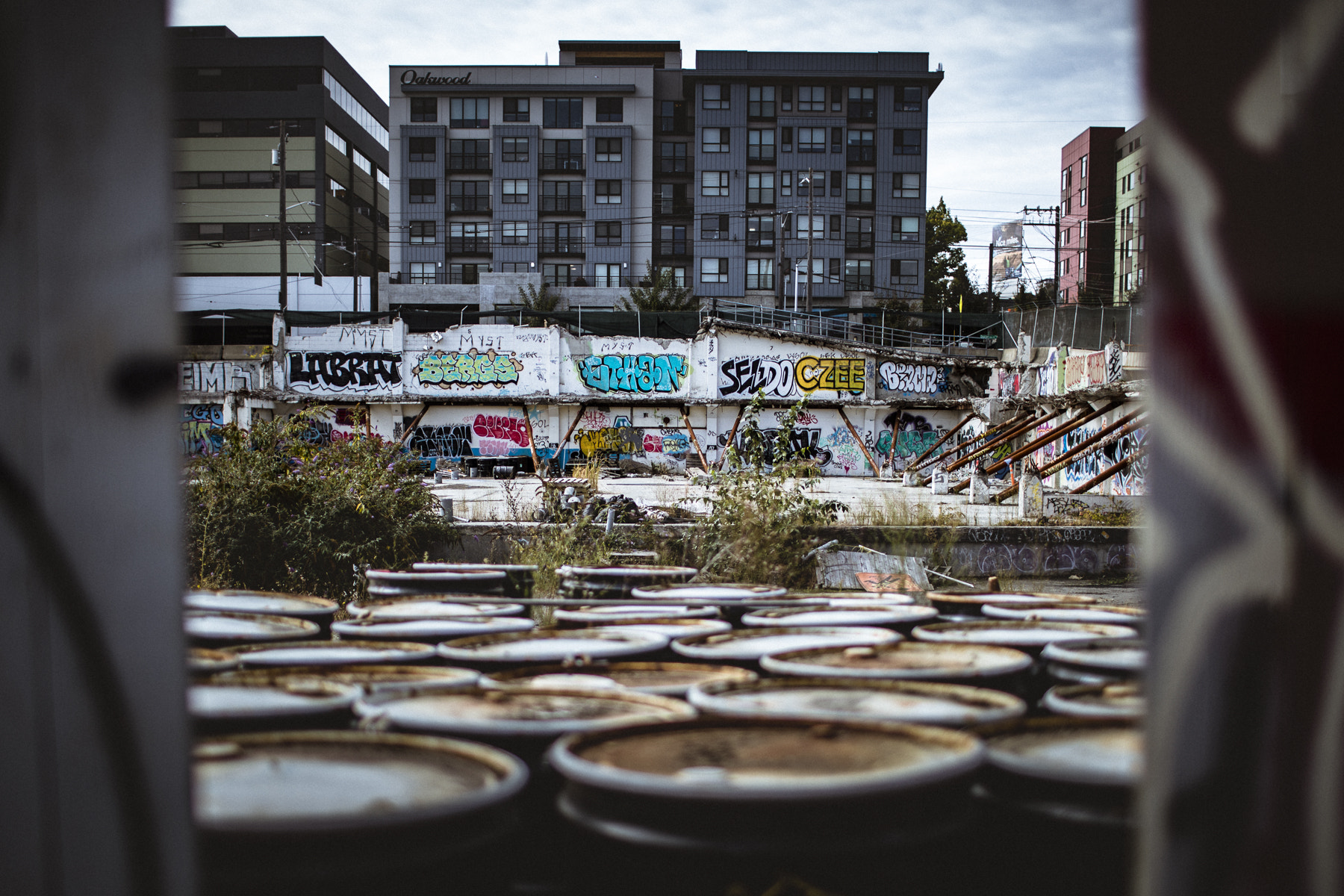 Canon EF 35mm F1.4L USM sample photo. Portal photography