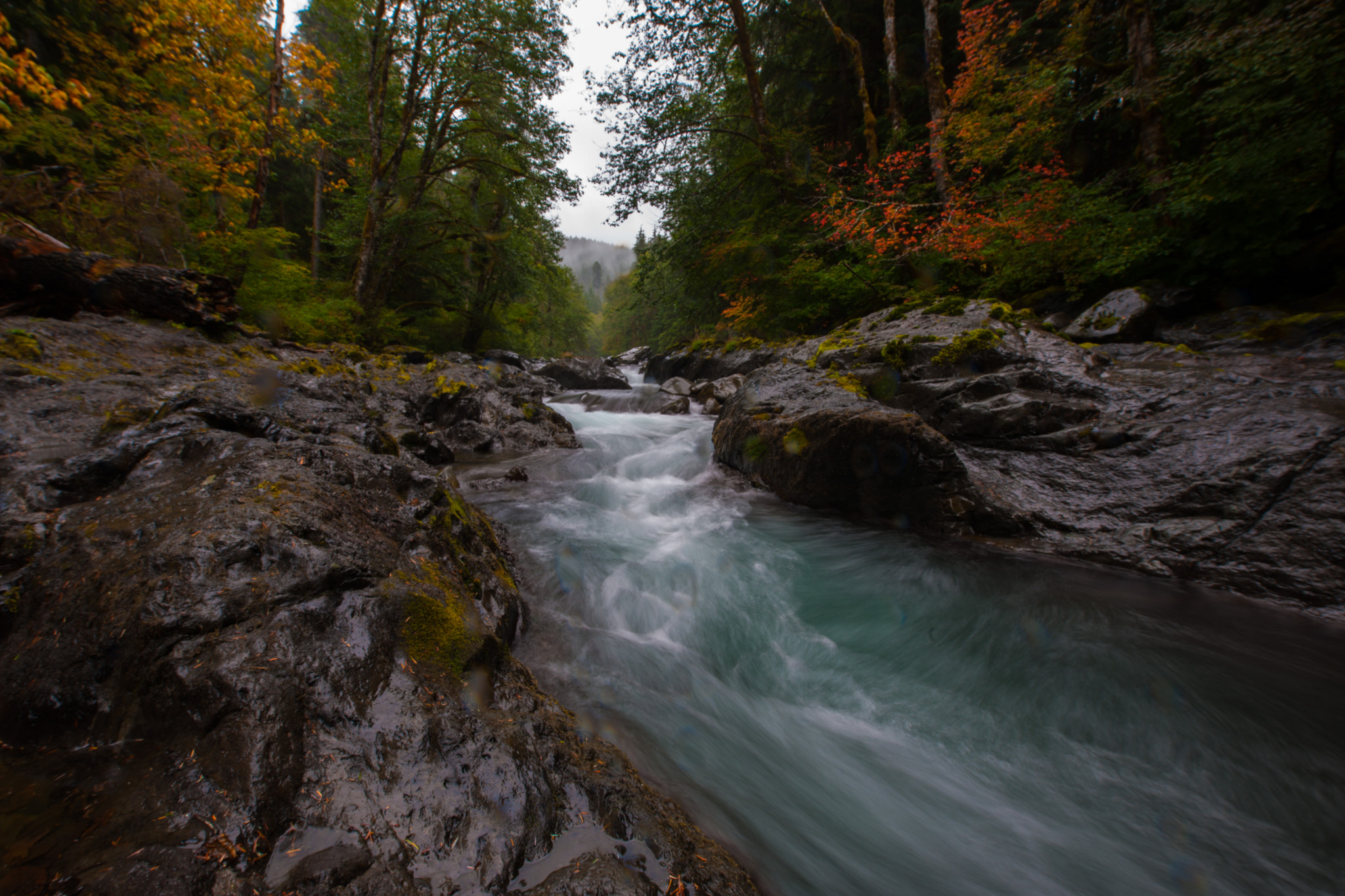 Nikon D3X sample photo. Rainy day along salmon cascade photography