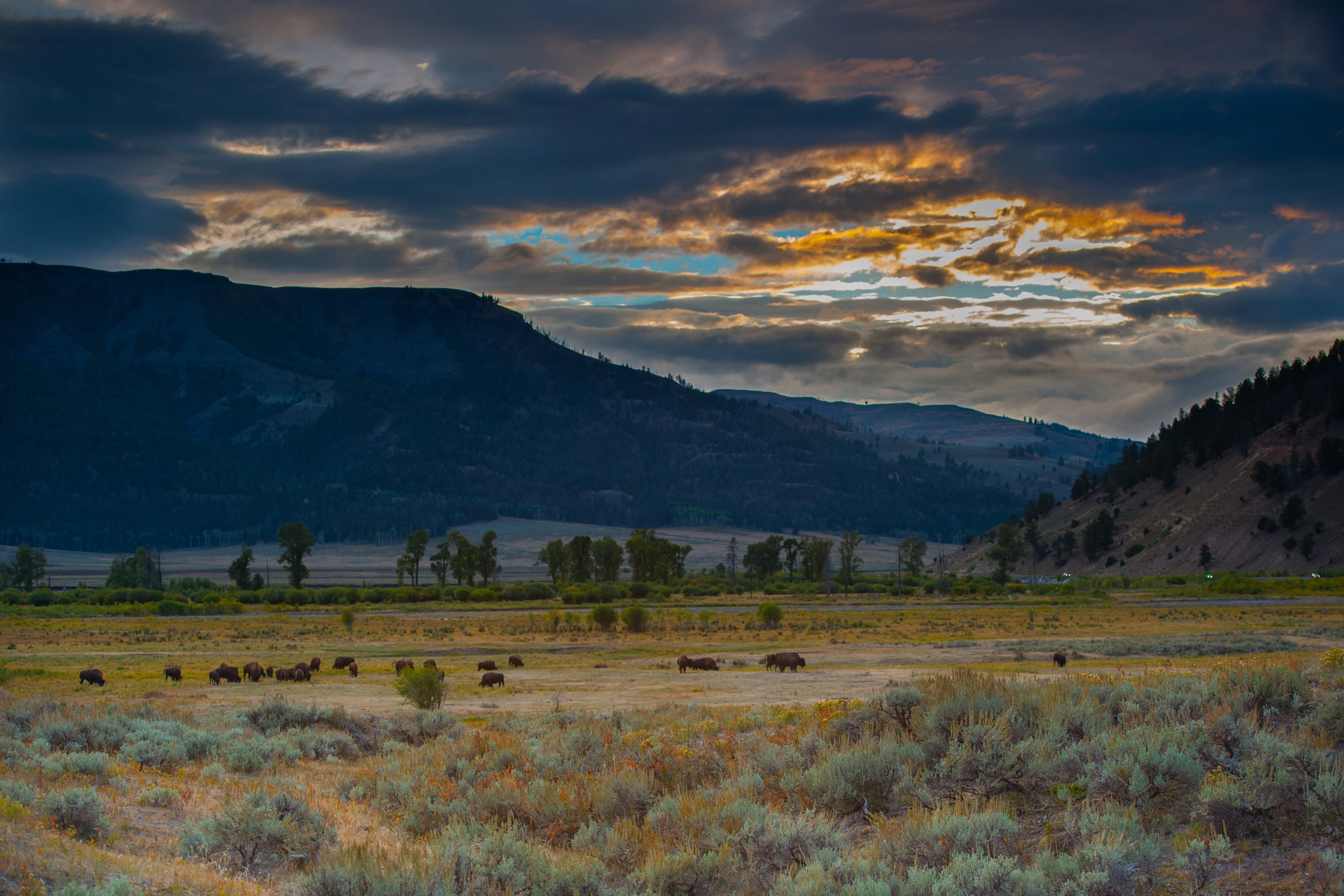 Nikon D3X + Nikon AF-S Nikkor 70-200mm F2.8G ED VR II sample photo. Evening arrives in lamar valley photography