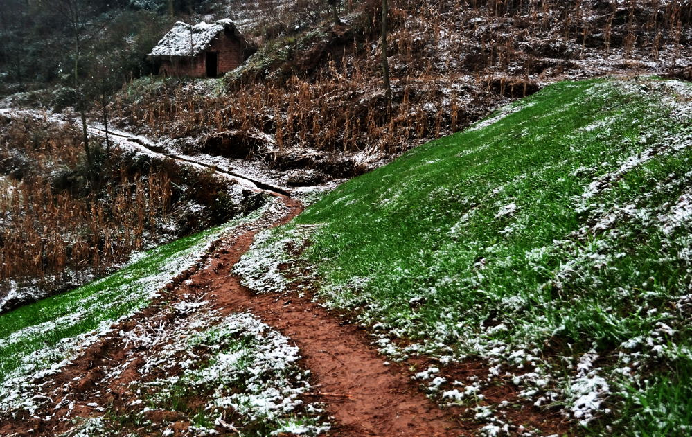 Nikon D80 sample photo. Snow of new year photography