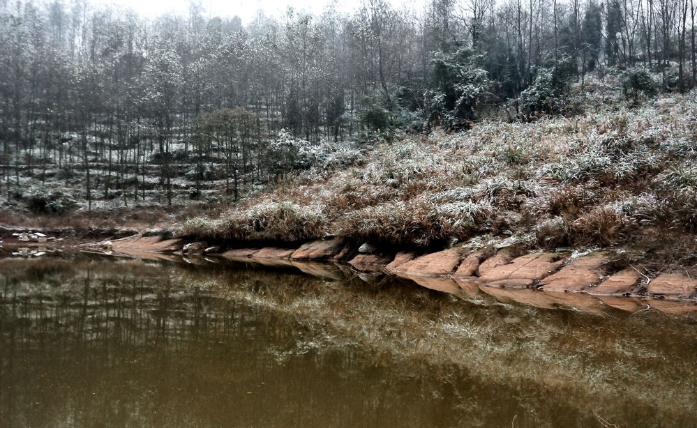 Nikon D80 sample photo. Snow of new year photography