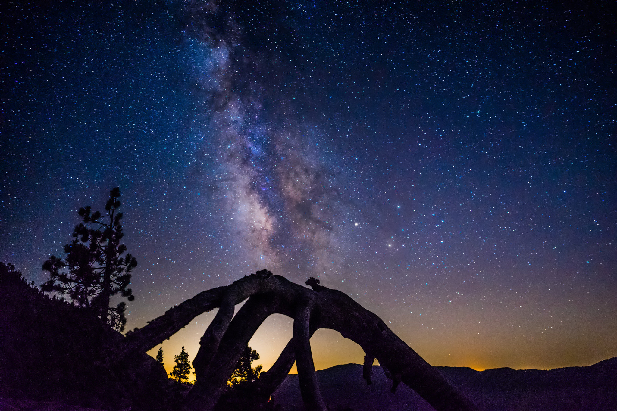 Sony a7 + E 21mm F2.8 sample photo. Yosemite milky way tree photography