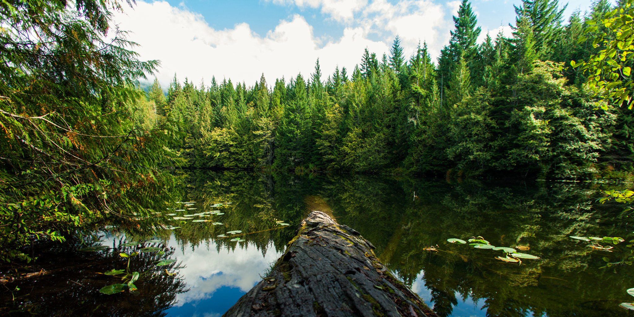 Canon EF 17-35mm f/2.8L sample photo. The log photography