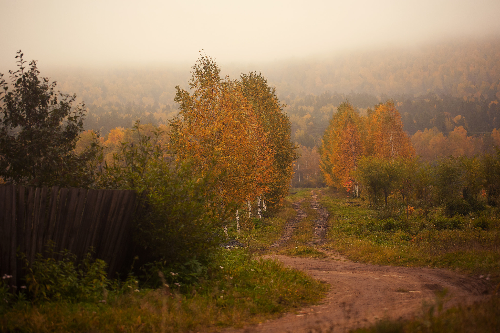 Canon EOS 5D sample photo. Colors of autumn photography