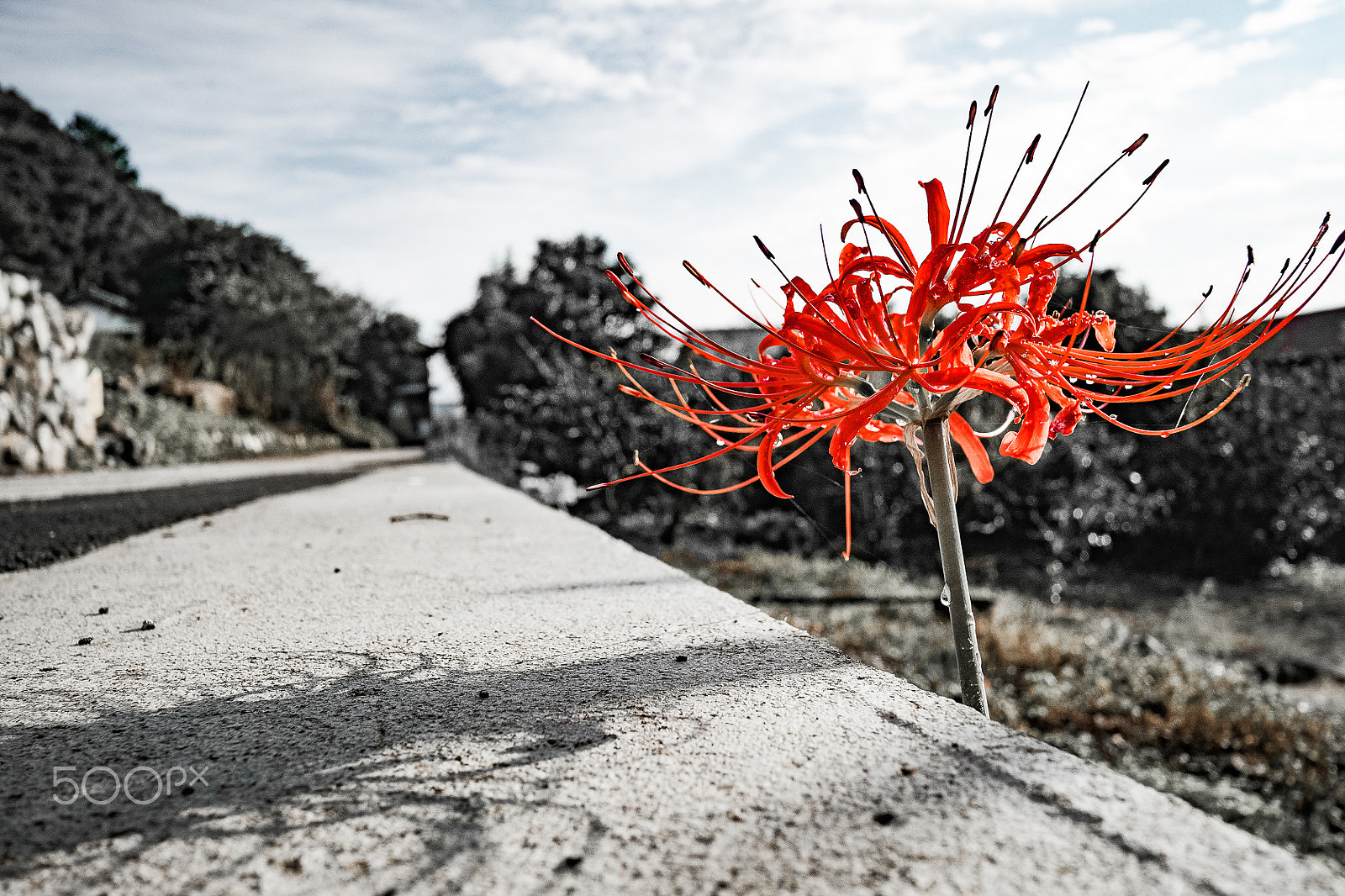 Fujifilm X-A2 + Fujifilm XF 18mm F2 R sample photo. Impressive color photography
