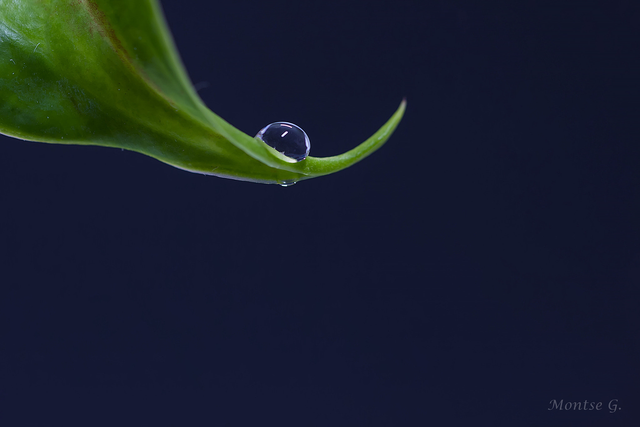 Canon EOS 600D (Rebel EOS T3i / EOS Kiss X5) + Canon EF 100mm F2.8L Macro IS USM sample photo. The drop. photography