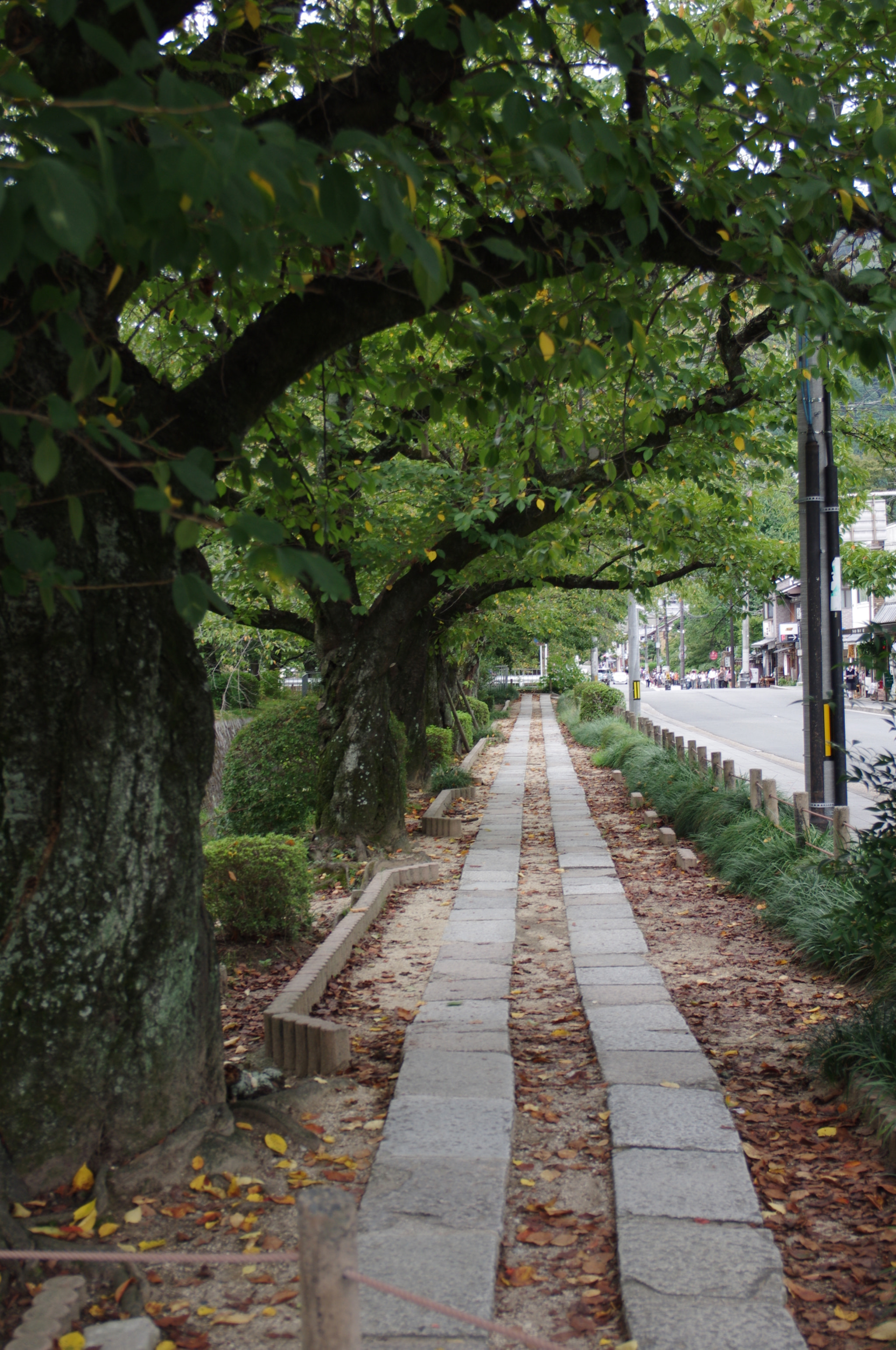 Pentax K-r + Pentax smc DA 17-70mm F4.0 AL (IF) SDM sample photo. Kyoto photography