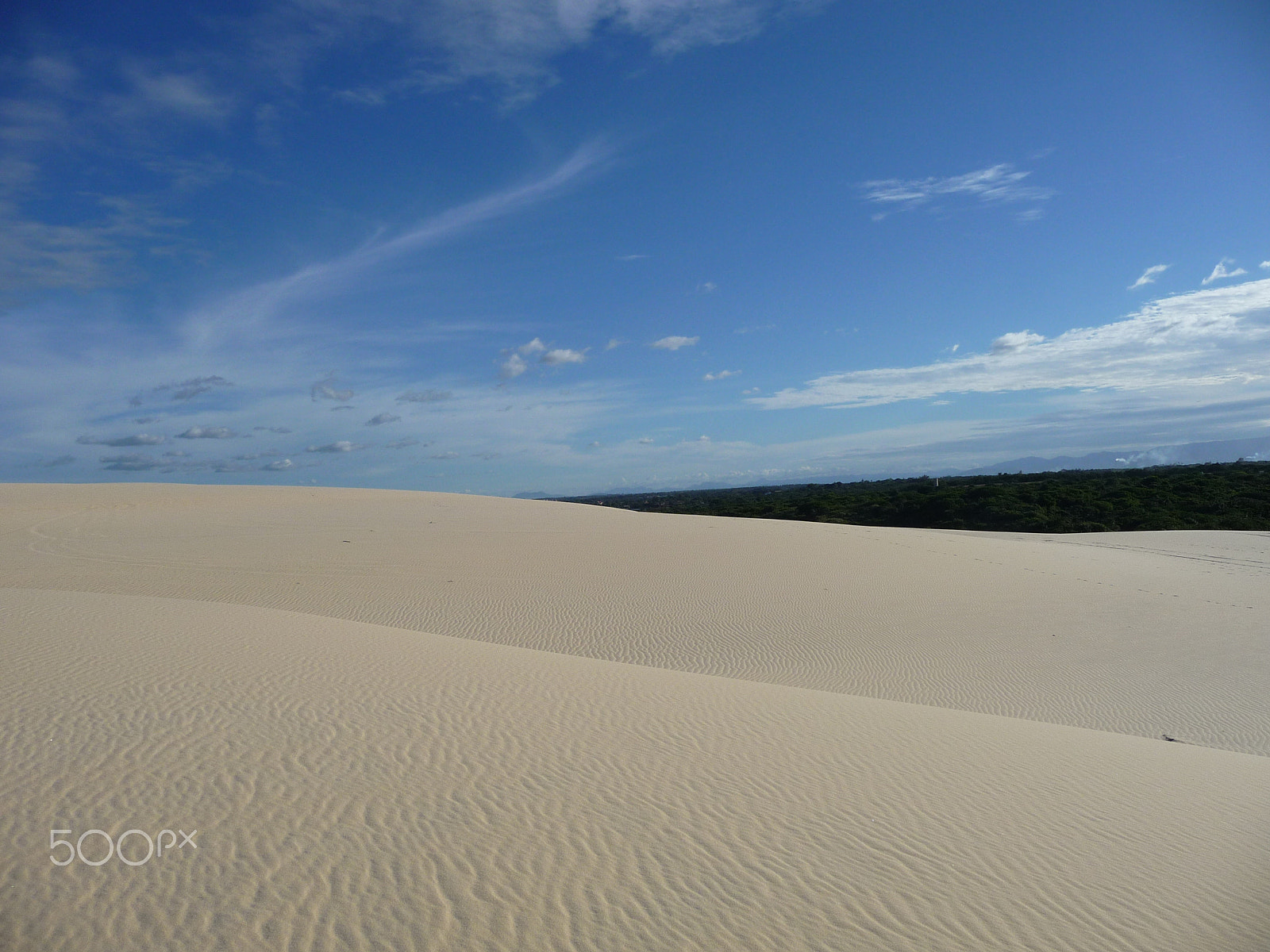 Panasonic DMC-TZ50 sample photo. Ripples in the sand photography