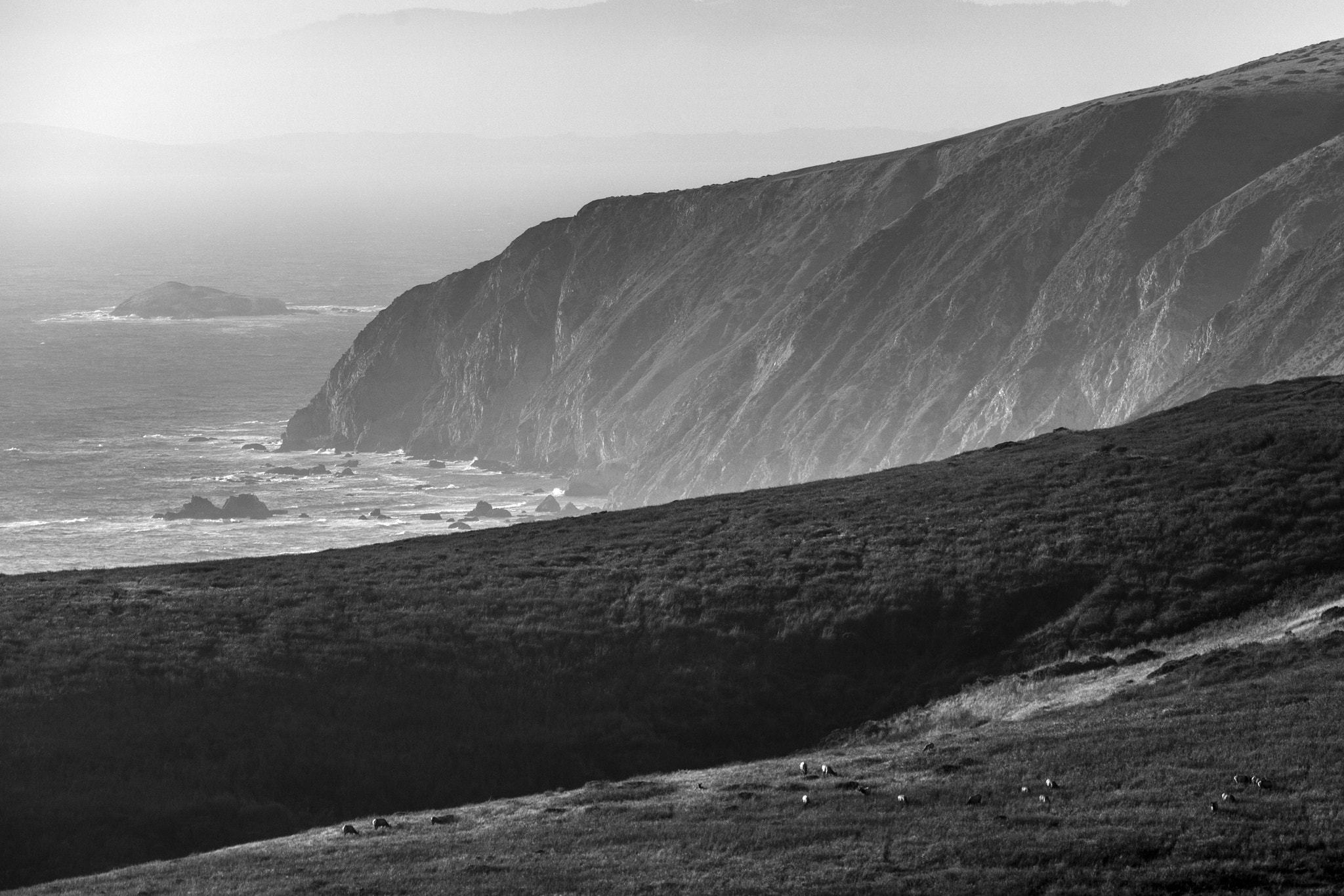 Canon EOS 5DS R + Canon EF 70-200mm F2.8L IS II USM sample photo. Point reyes fog photography
