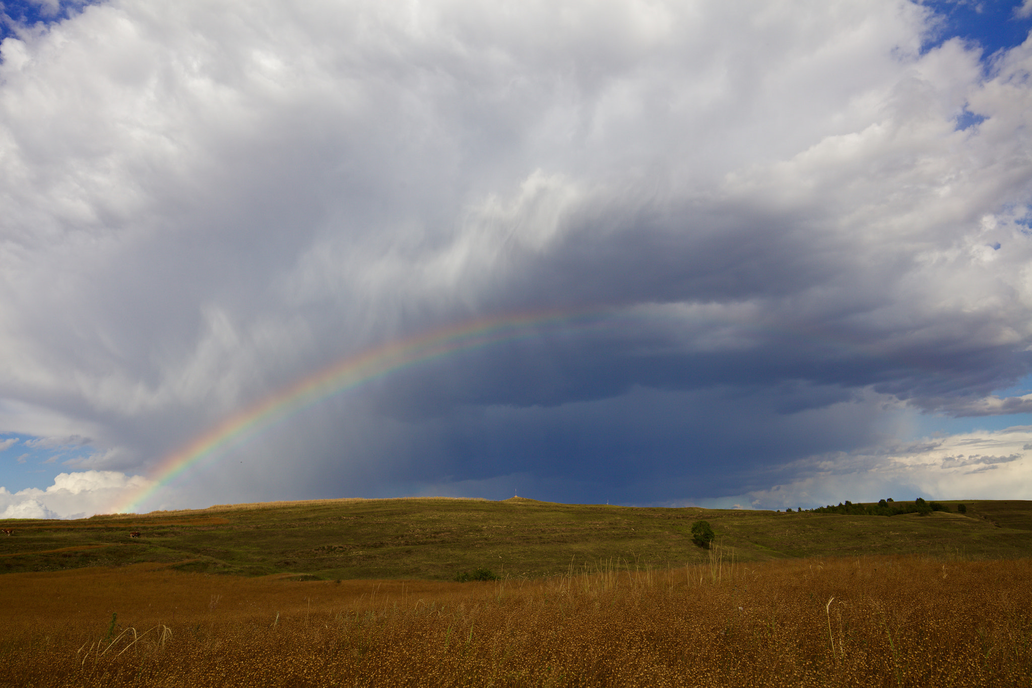Canon EOS 5DS R + Canon EF 16-35mm F4L IS USM sample photo
