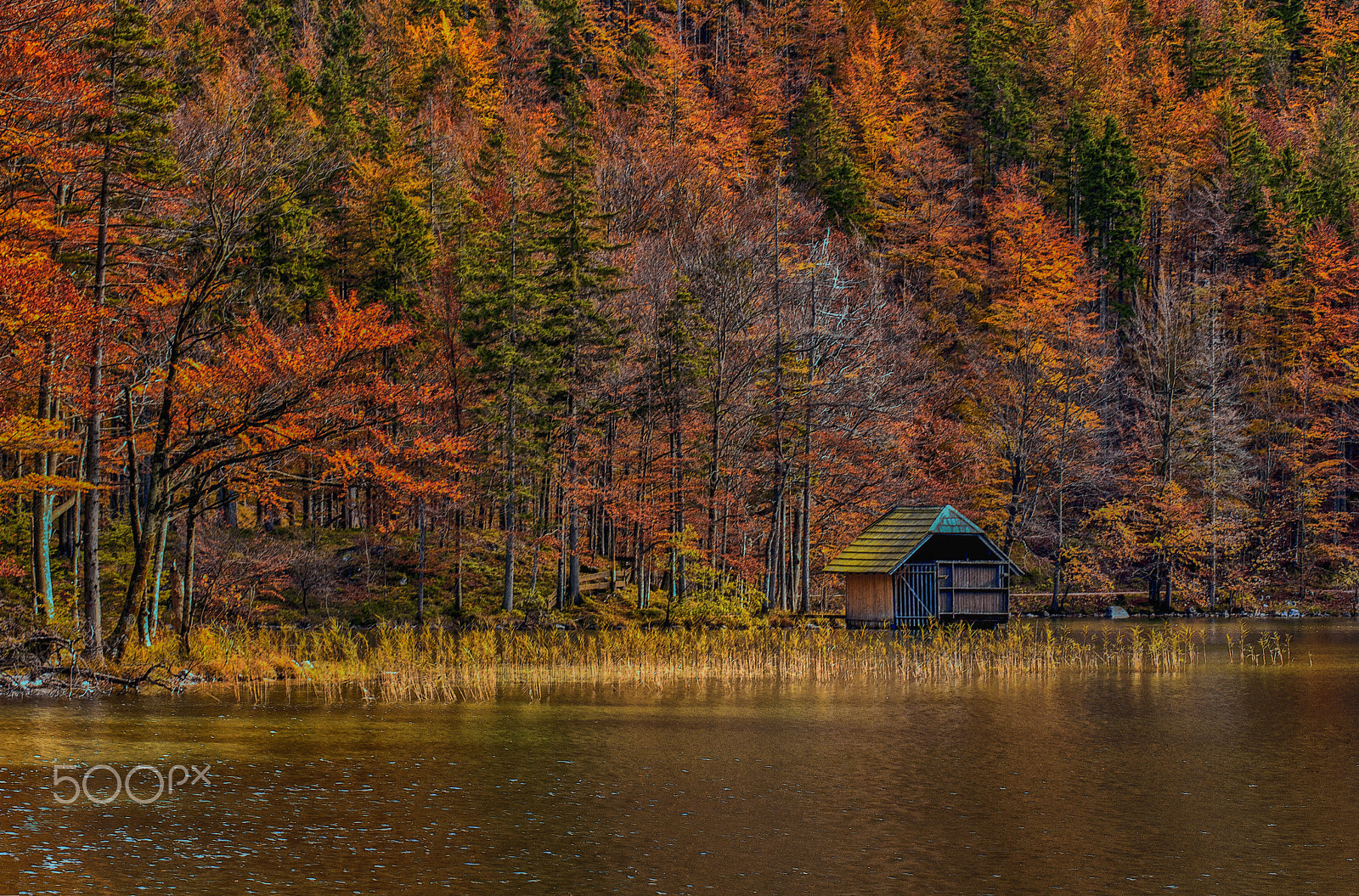 Sony Alpha DSLR-A700 + Sigma 30mm F1.4 EX DC HSM sample photo. Langbathsee photography