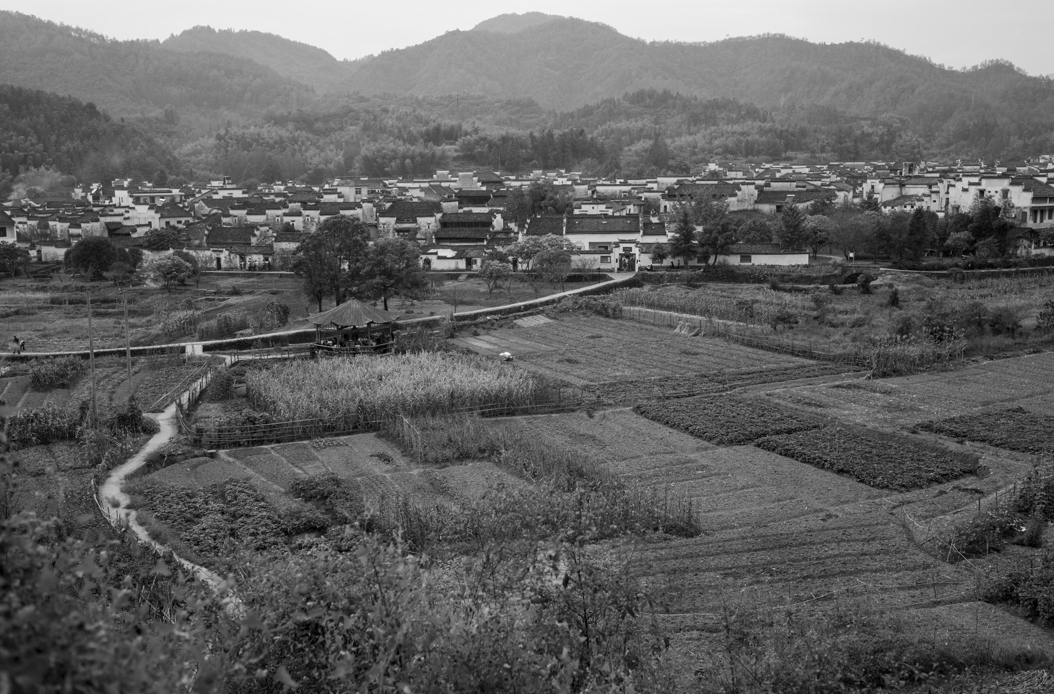 Leica Summicron-M 28mm F2 ASPH sample photo. Morning of xidi photography
