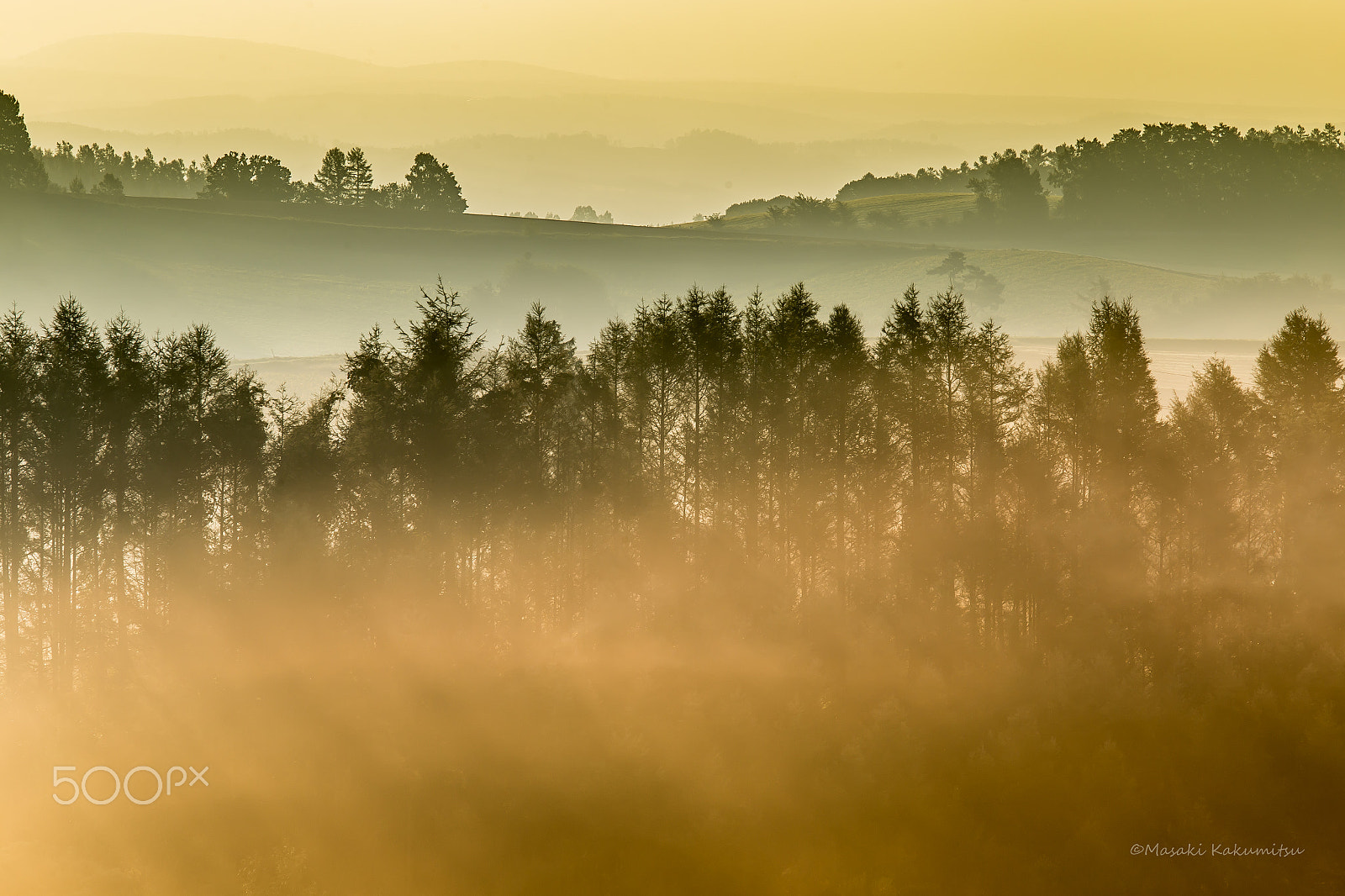 Canon EF 70-200mm F4L IS USM sample photo. Morning the start of the autumn photography