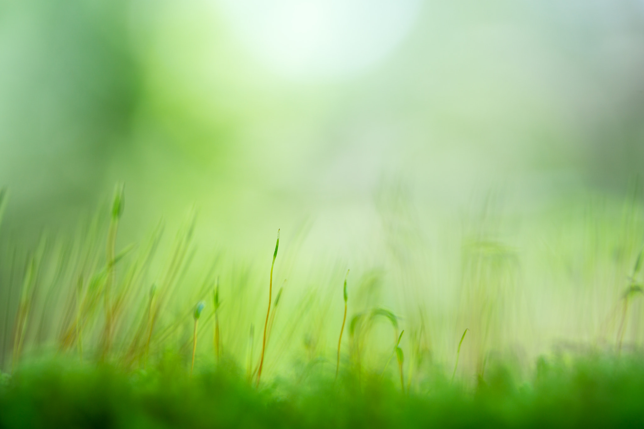 Tamron 18-270mm F3.5-6.3 Di II PZD sample photo. Klar sehen photography