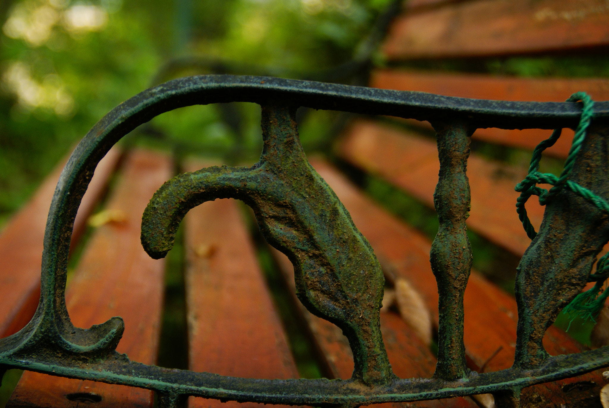 Sony Alpha DSLR-A100 sample photo. Bench photography