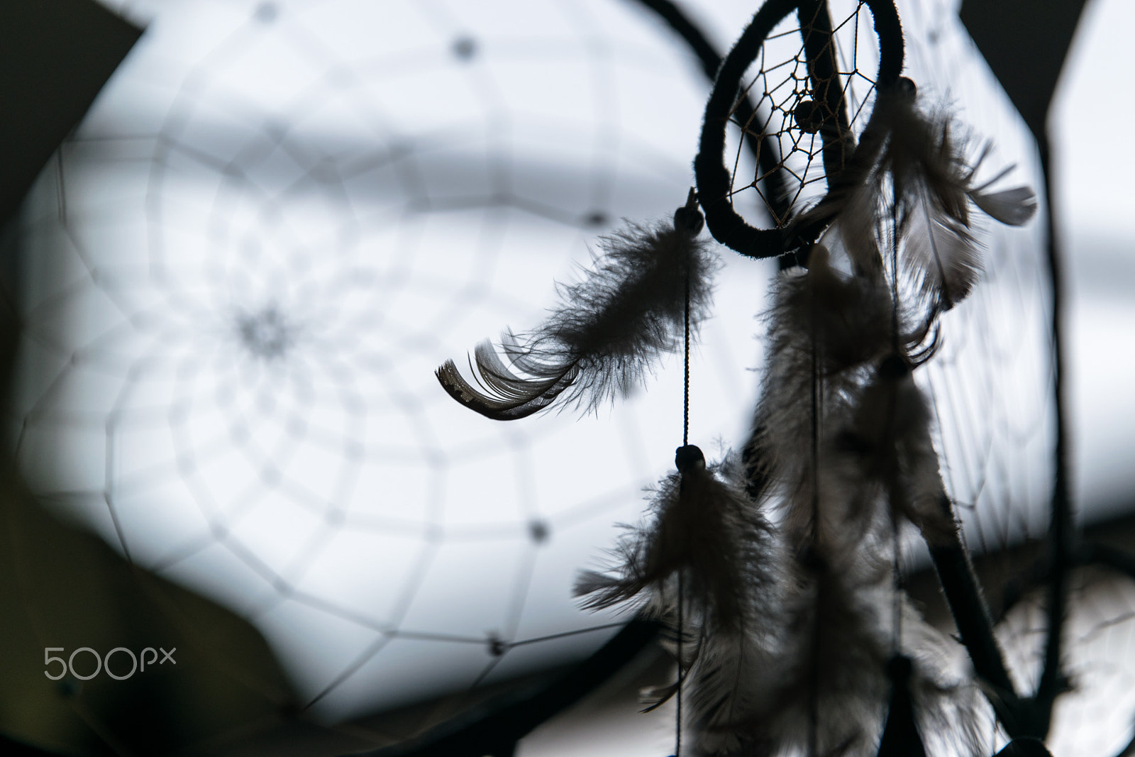 Nikon AF-S Nikkor 70-200mm F2.8G ED VR II sample photo. Dreamcatcher photography