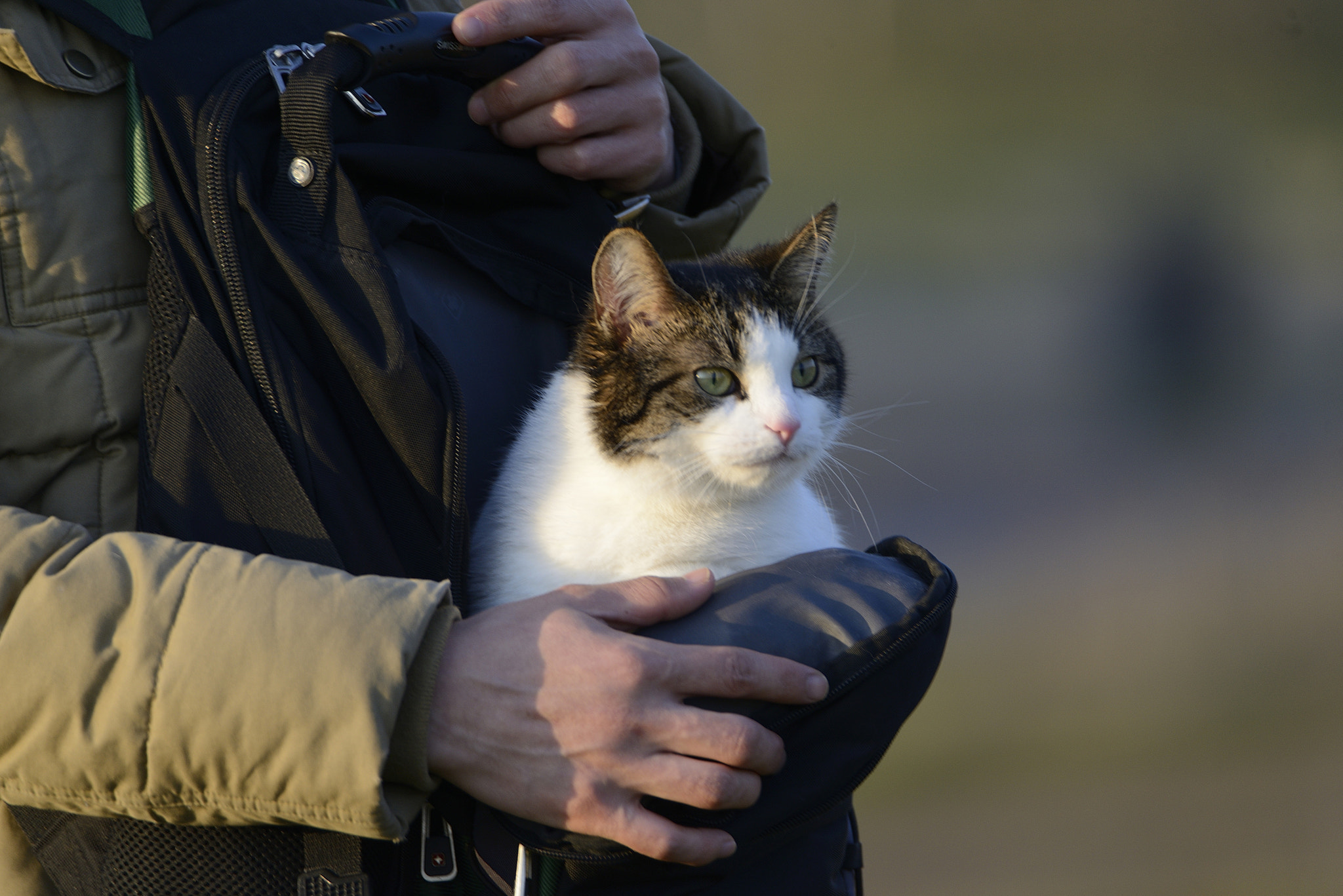Nikon D800E sample photo. "catwalk" photography