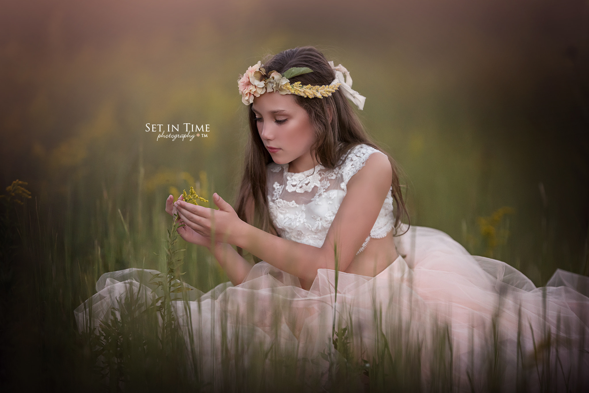 Nikon AF-S Nikkor 200mm F2G ED VR II sample photo. Goldenrods photography