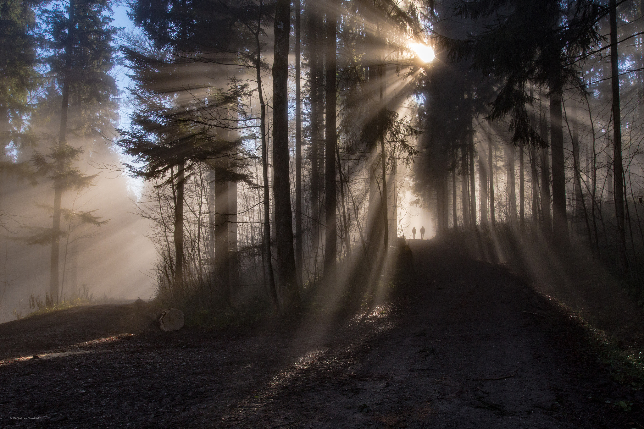 Canon EOS 6D + Canon EF 20-35mm f/2.8L sample photo. Out of the mist towards the sun photography