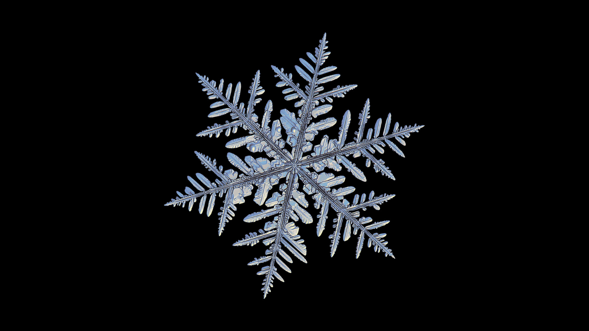 Canon POWERSHOT A650 IS sample photo. Snowflake isolated on black background photography