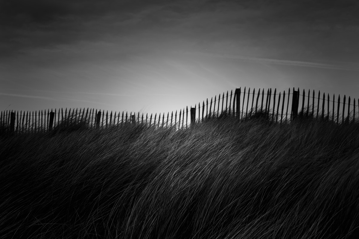 Tamron SP AF 17-50mm F2.8 XR Di II LD Aspherical (IF) sample photo. Les dunes de flandres 2 photography