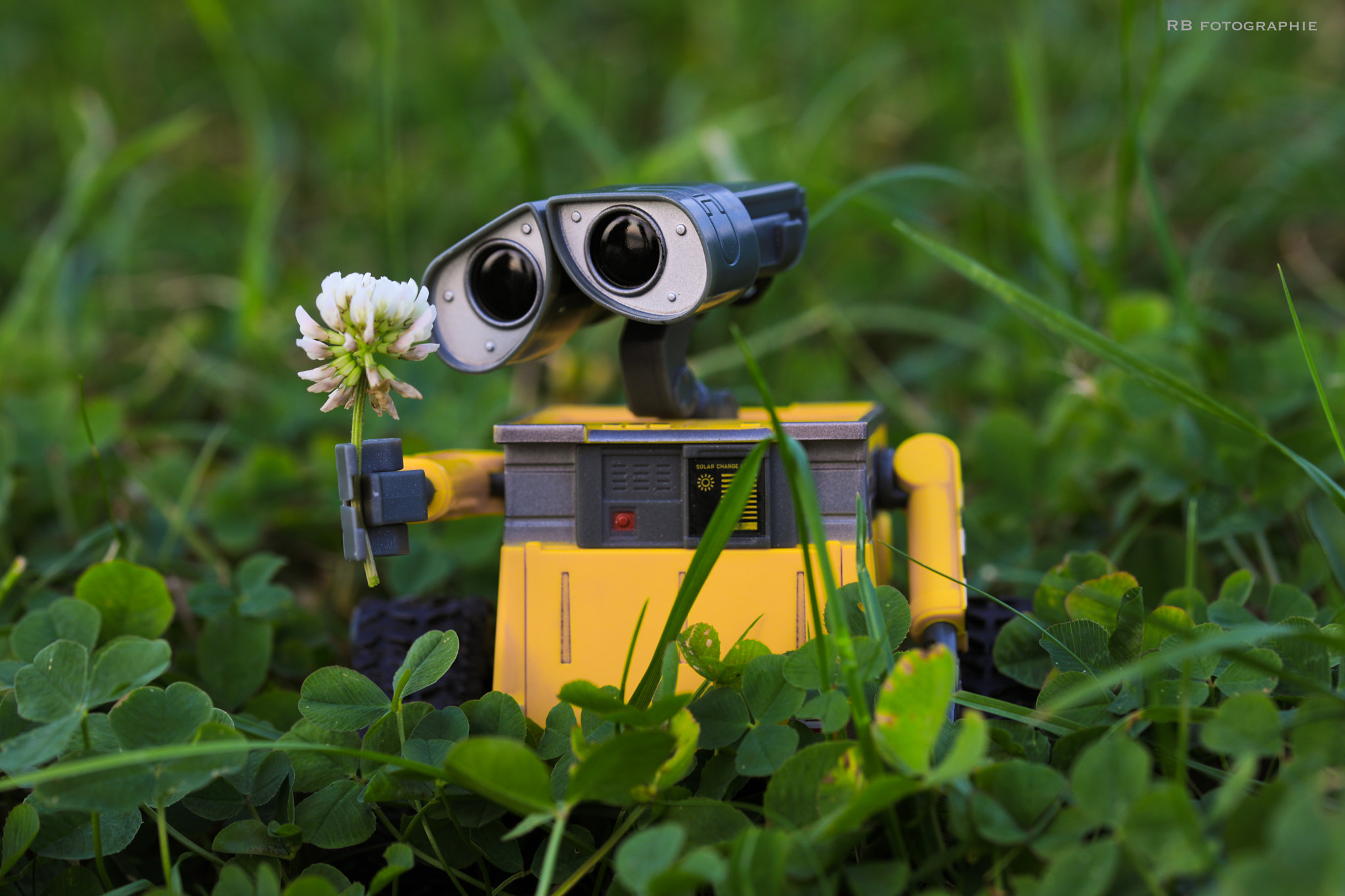 Canon EOS 5D Mark IV + Canon EF 100mm F2.8L Macro IS USM sample photo. Wall-e exploring bremerhaven photography