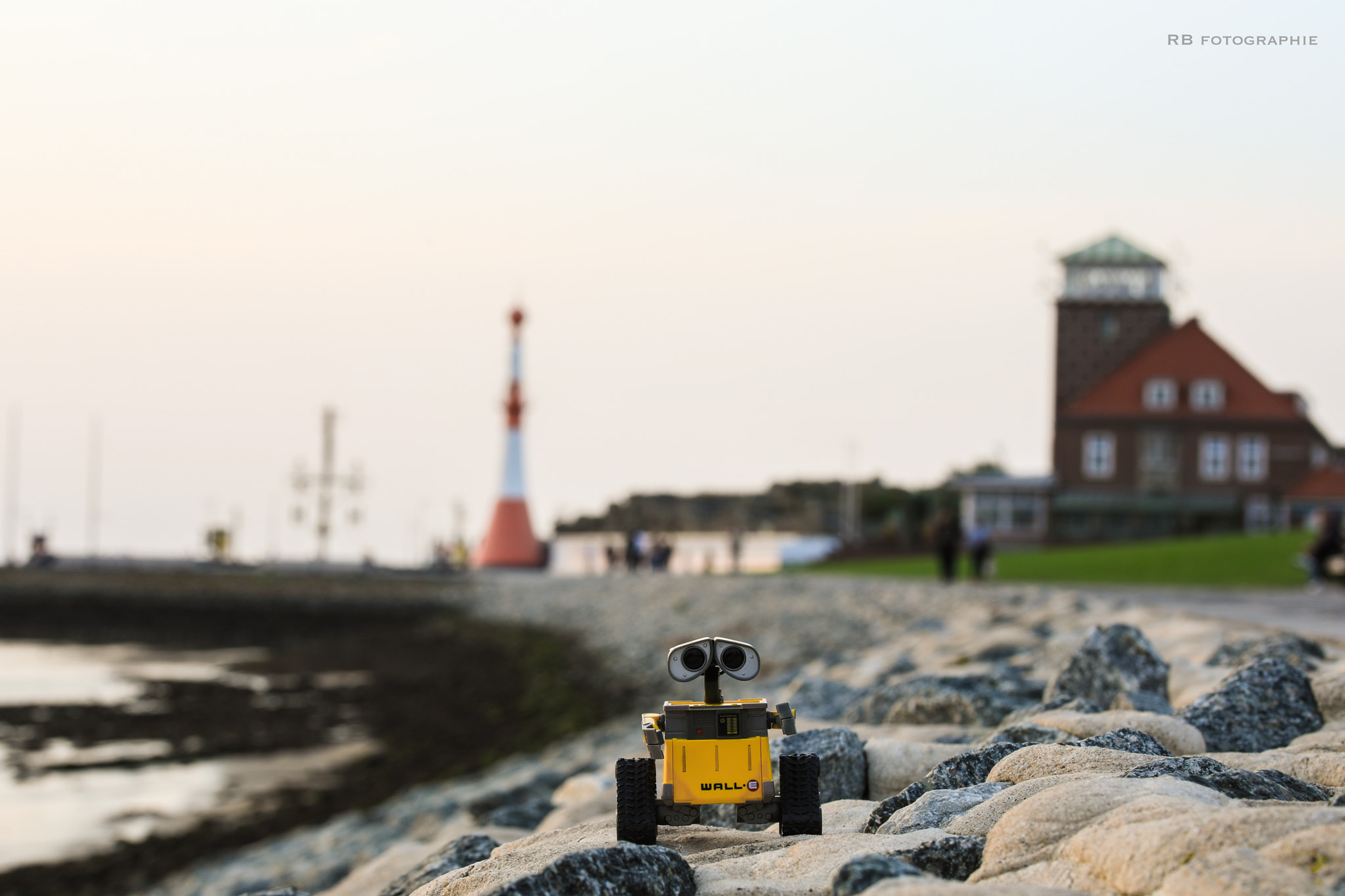 Canon EOS 5D Mark IV + Canon EF 100mm F2.8L Macro IS USM sample photo. Wall-e exploring bremerhaven germany photography