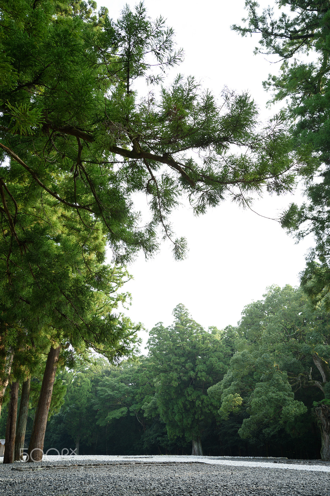 Nikon Df sample photo. Former shrine space photography