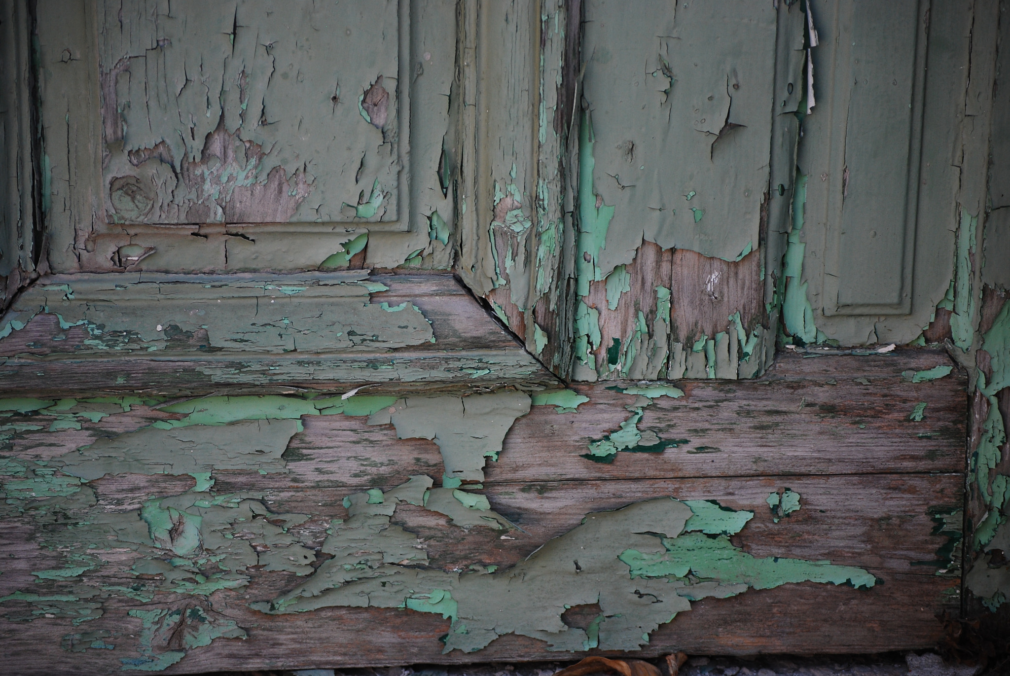 Nikon D40X sample photo. Wittering paint photography