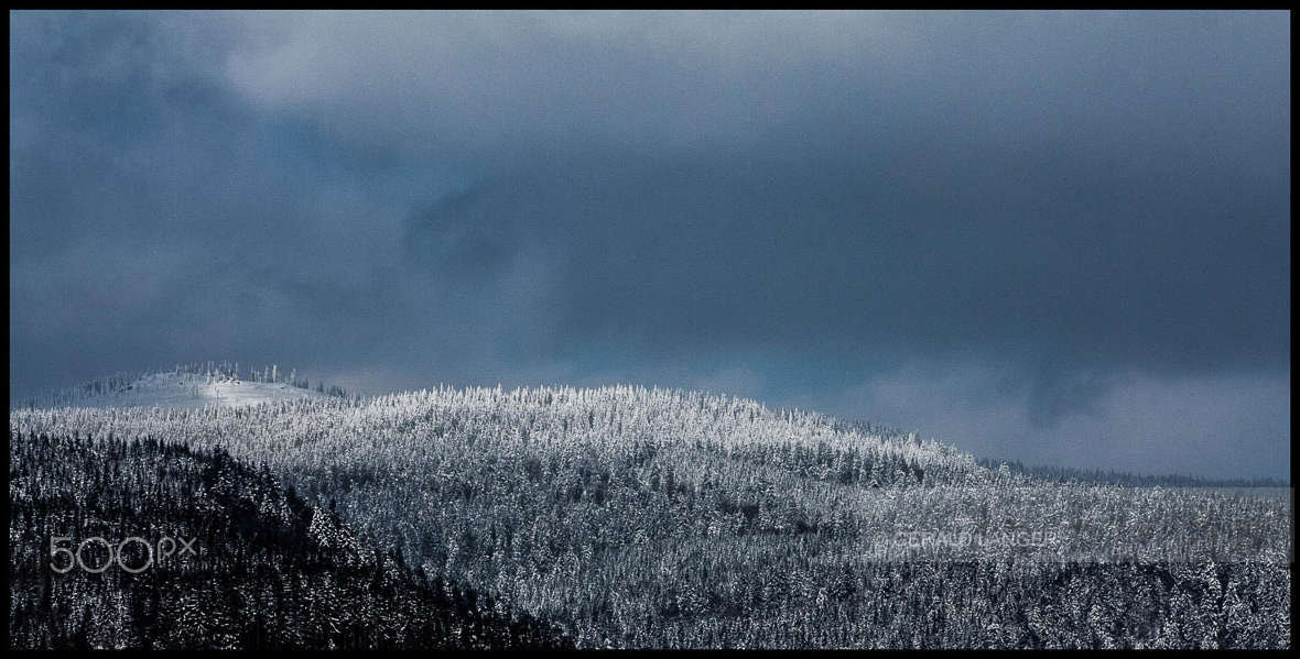 Canon EF 70-300mm F4-5.6 IS USM sample photo. Bavarian forest photography