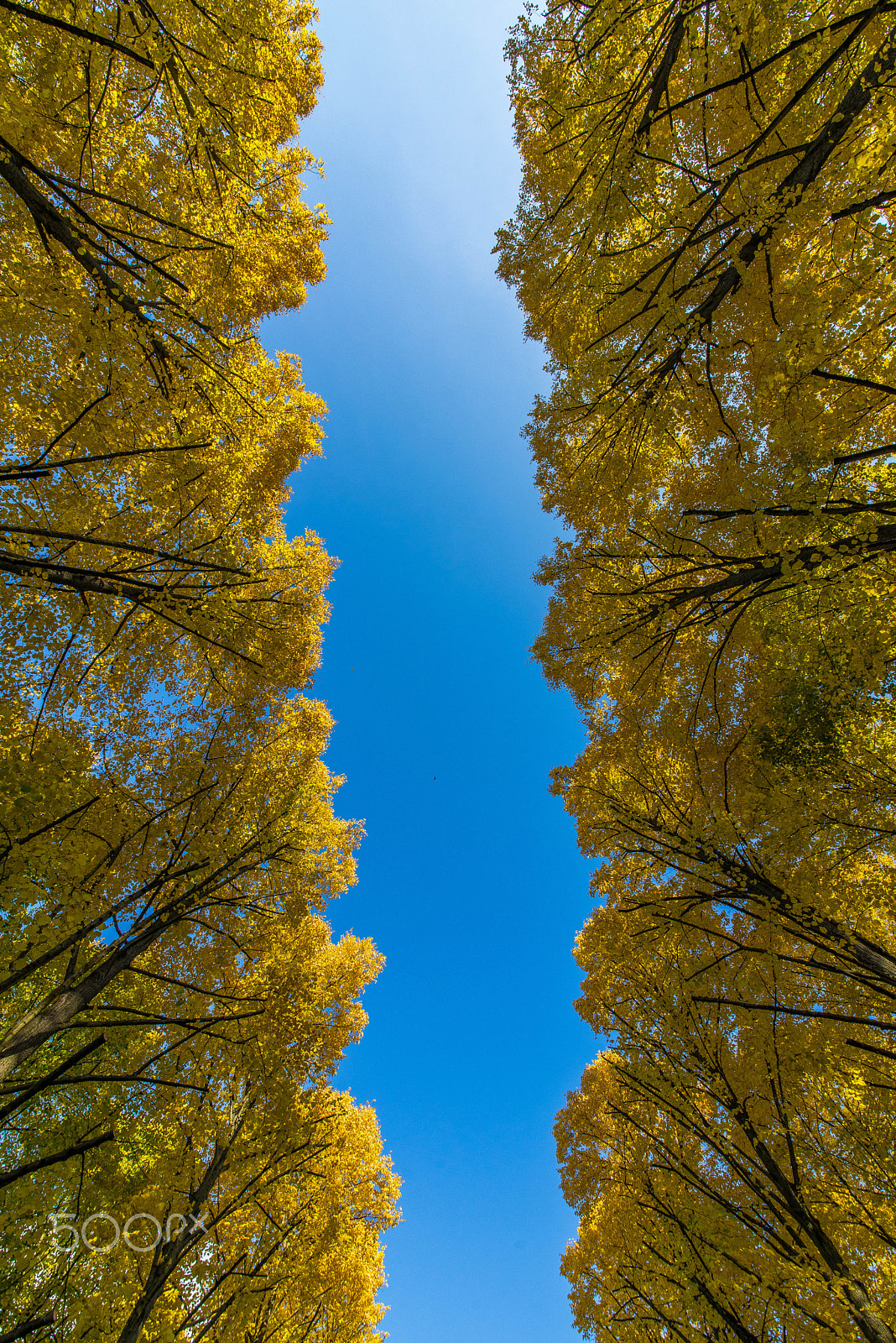 Sigma 12-24mm F4.5-5.6 II DG HSM sample photo. Skyblue photography