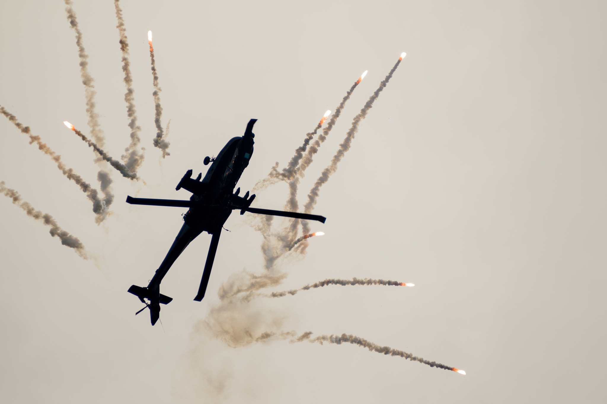 Sigma 70-200mm F2.8 EX DG OS HSM sample photo. Wings of freedom photography