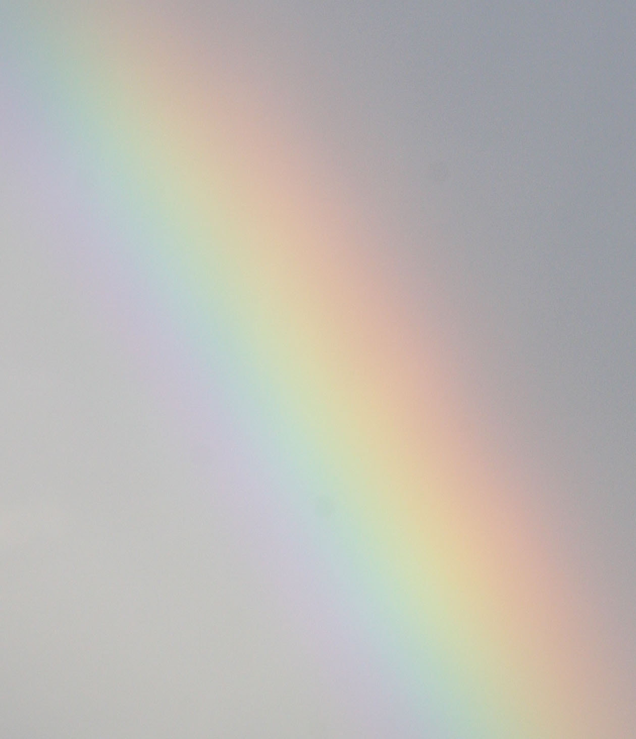 Canon EF 35-105mm f/3.5-4.5 sample photo. Img photography
