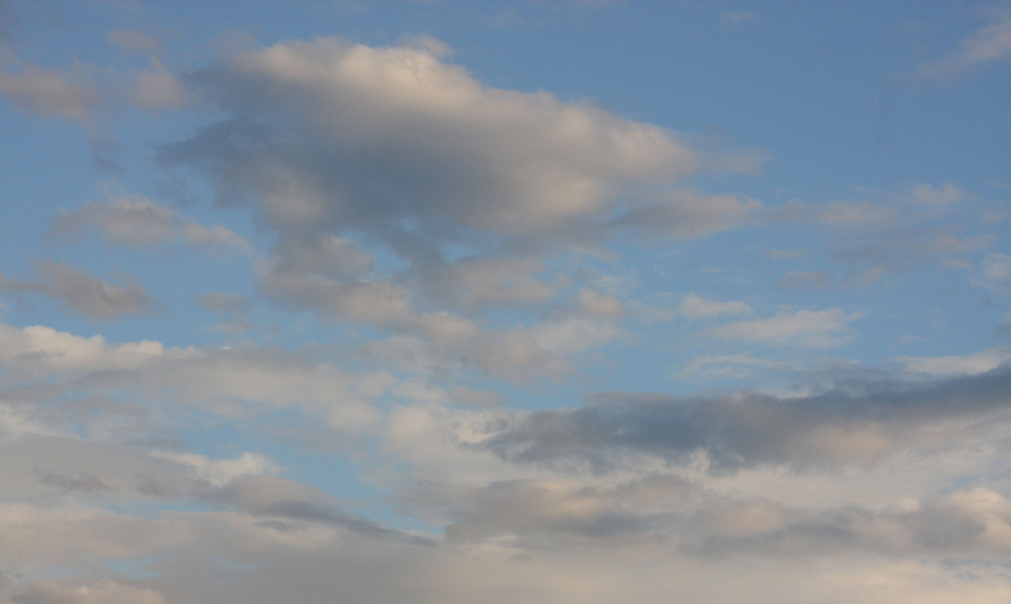 Canon EF 35-105mm f/3.5-4.5 sample photo. Img photography
