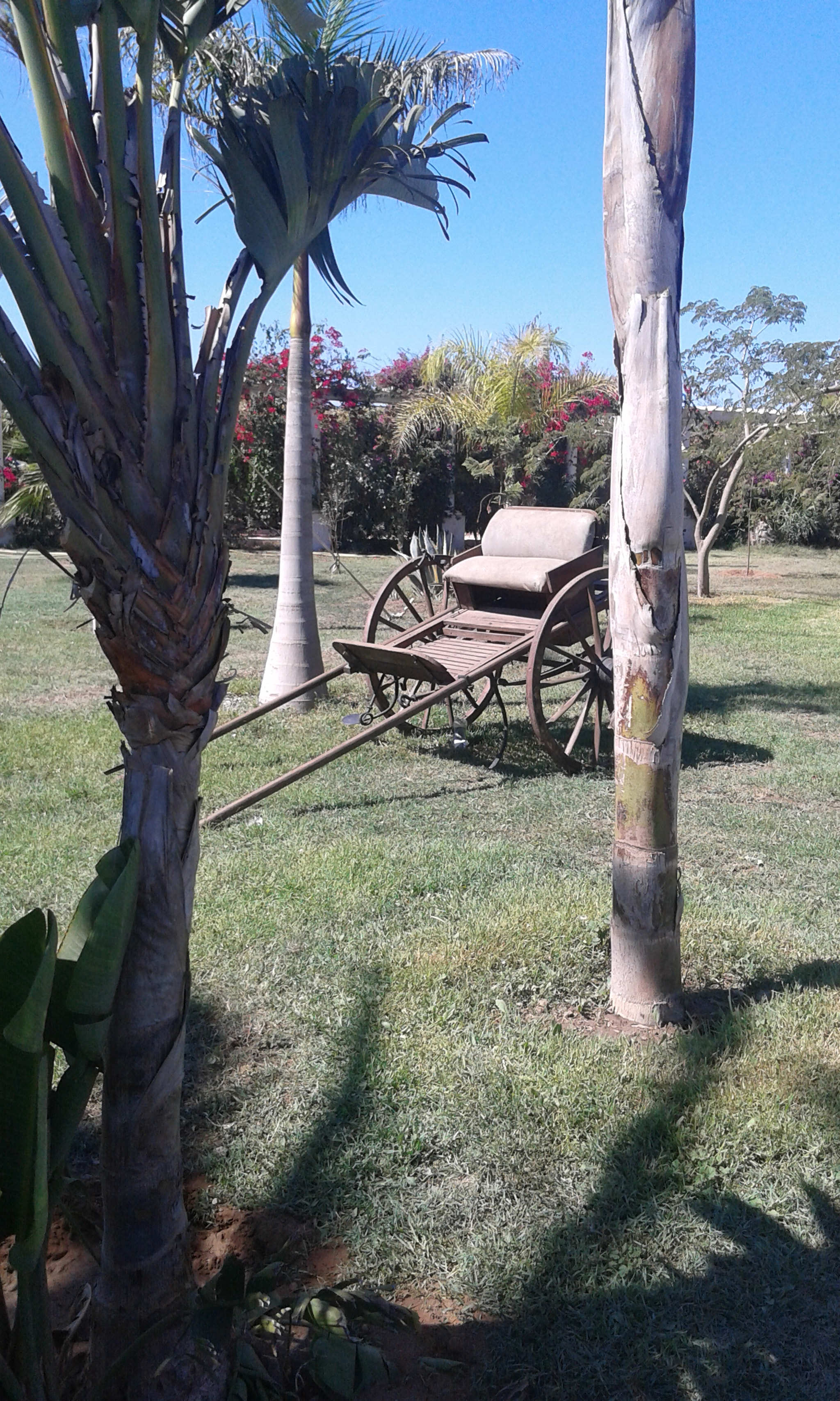 Samsung Galaxy Grand Neo sample photo