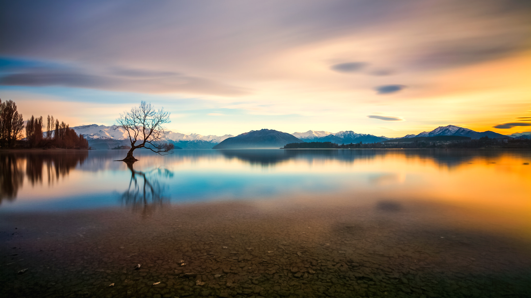 Canon EF 16-35mm F2.8L II USM sample photo. Golden wanaka tree (last edition) photography