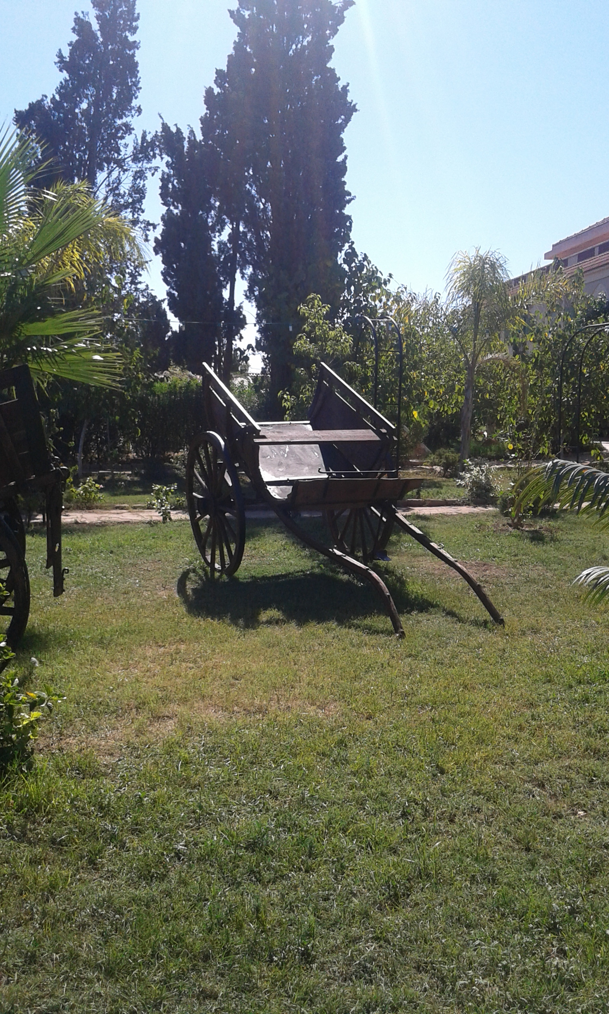 Samsung Galaxy Grand Neo sample photo