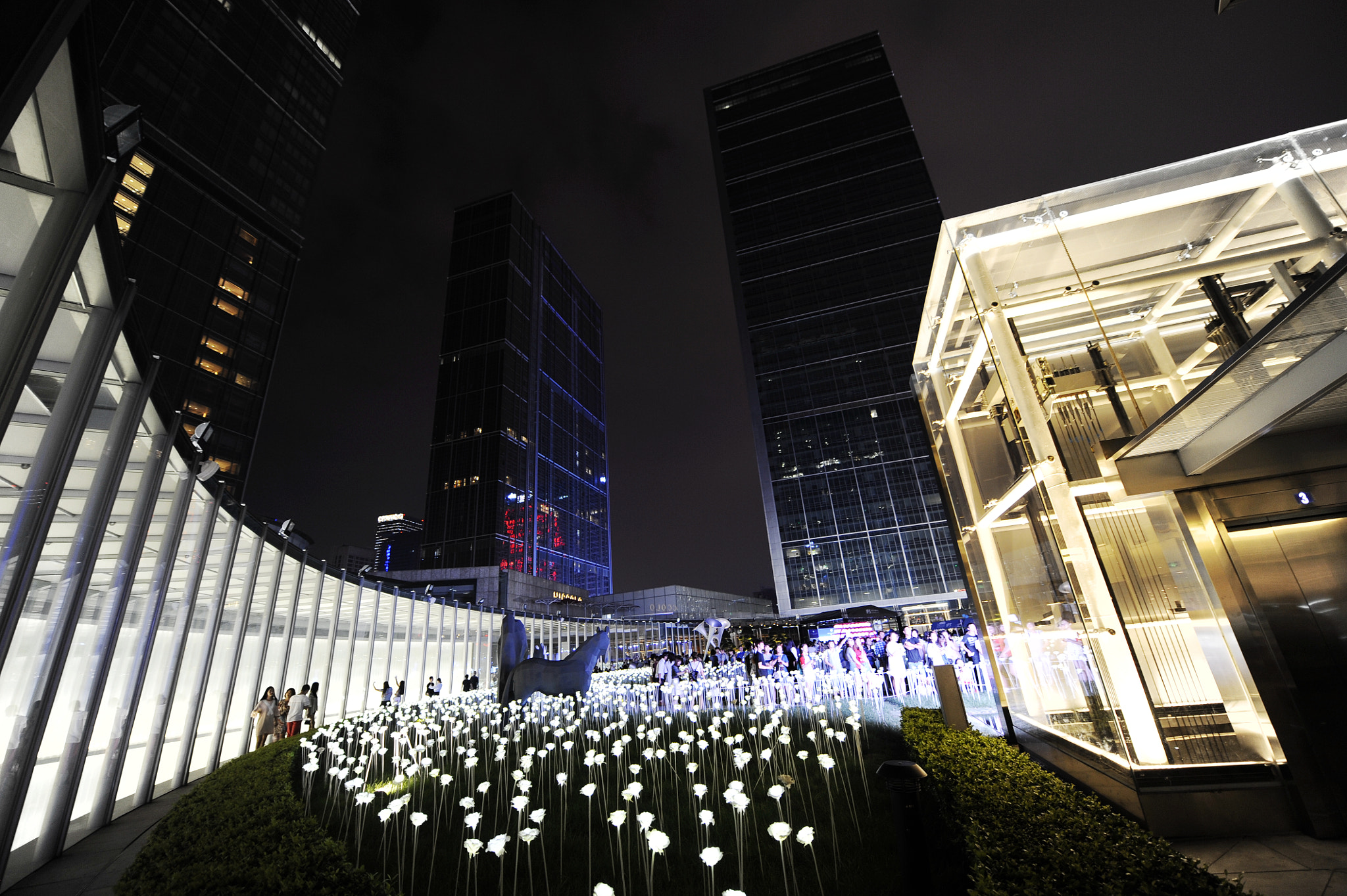 Nikon D3 sample photo. Swore in the night 1 photography