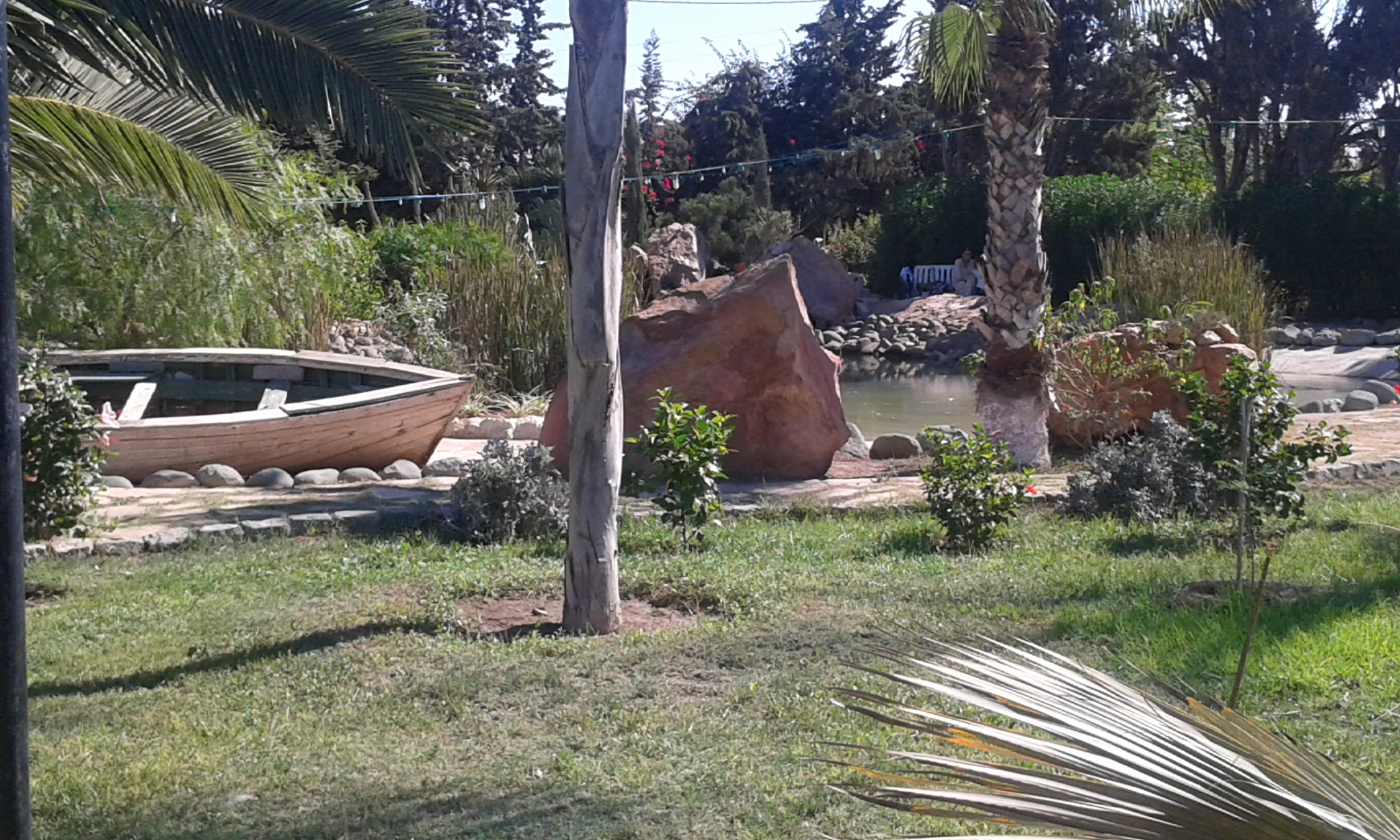 Samsung Galaxy Grand Neo sample photo