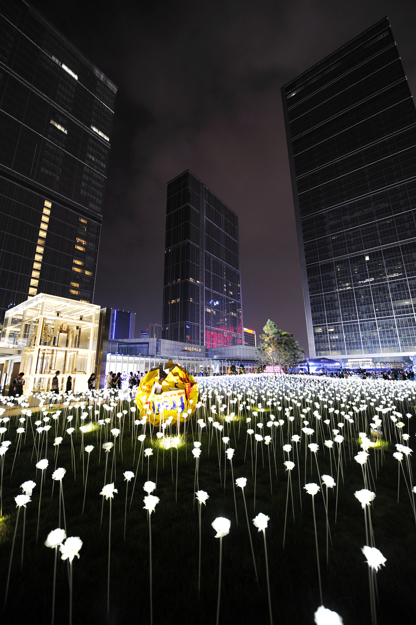 Nikon D3 sample photo. Swore in the night 2 photography