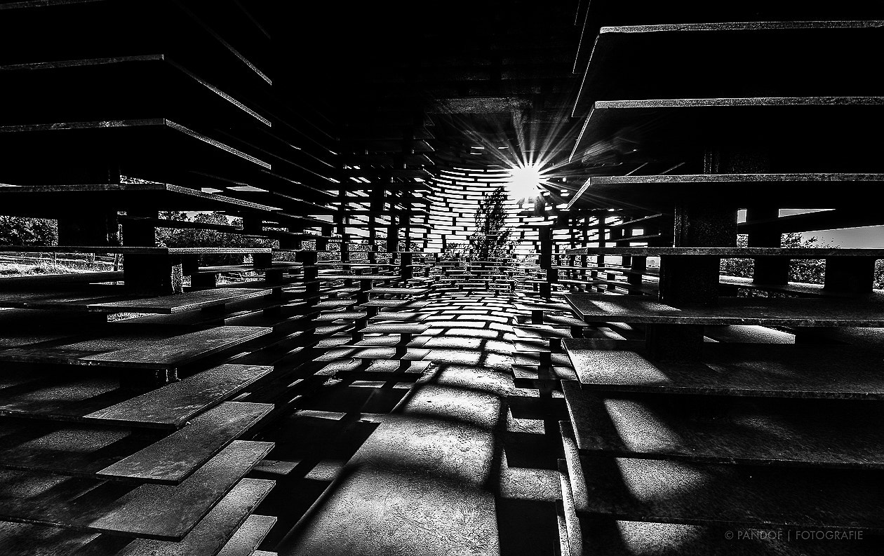 Tokina AT-X Pro 11-16mm F2.8 DX sample photo. Reading between the lines photography